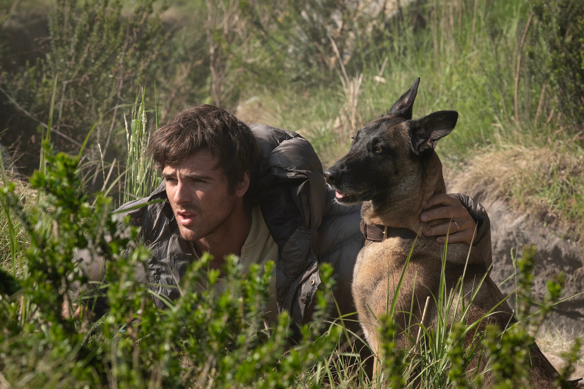 Ridley Scott’s The Dog Stars falls short at box office as Spider-Man dominates