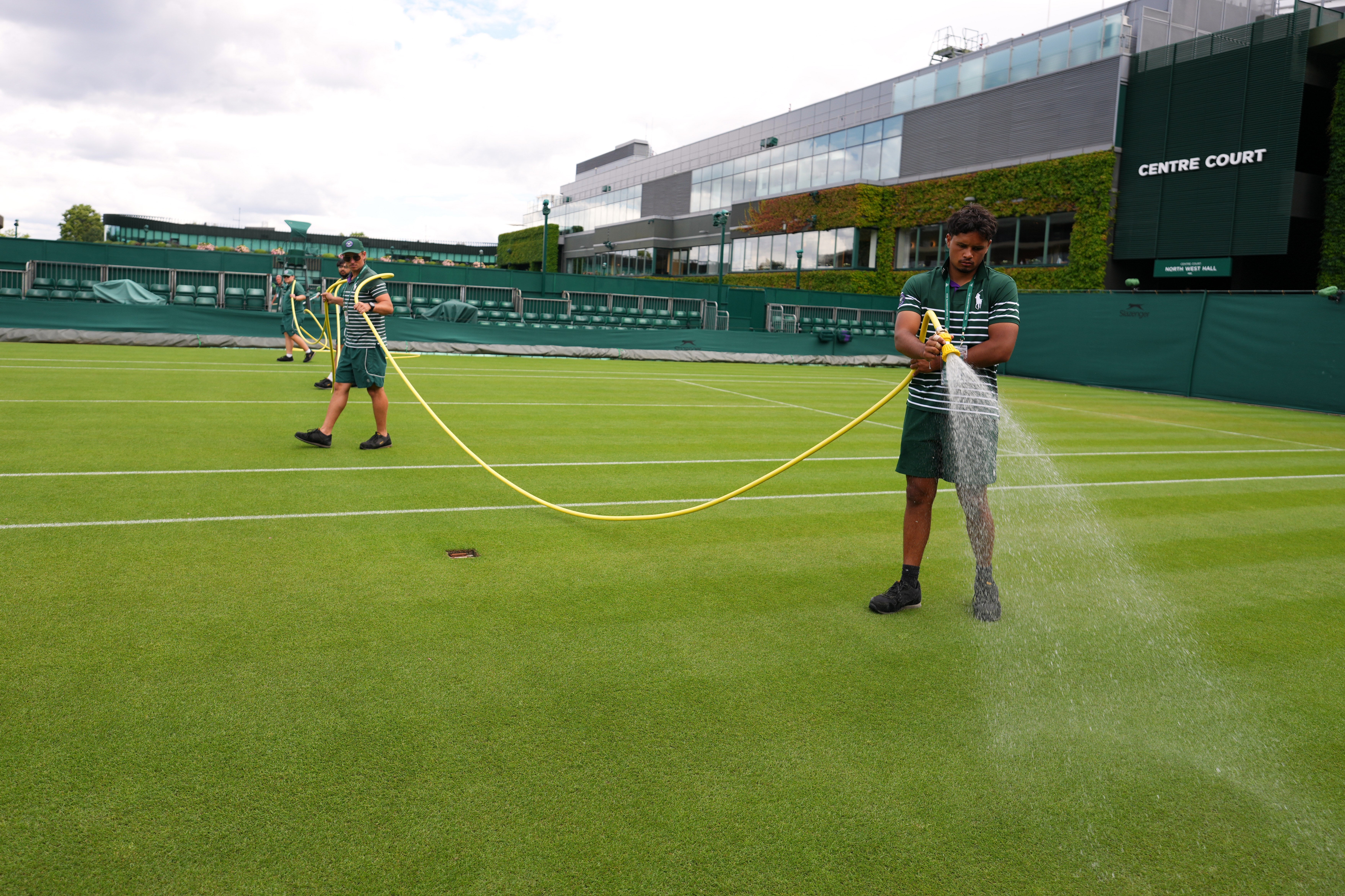 WIMBLEDON-CÉSPED