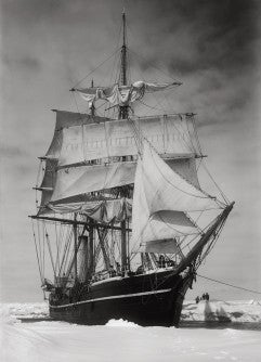 Scotts letztes Schiff Terra Nova
