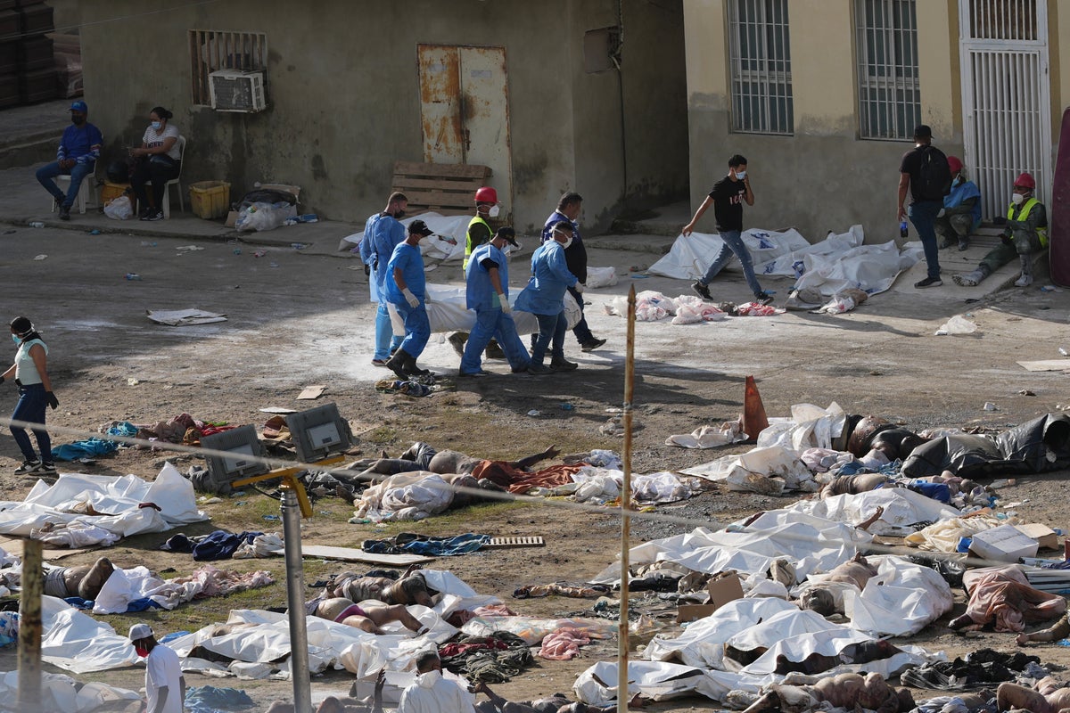 A push to identify bodies as deaths multiply in Venezuela after twin earthquakes – UK Times A push to identify bodies as deaths multiply in Venezuela after twin earthquakes – UK Times
