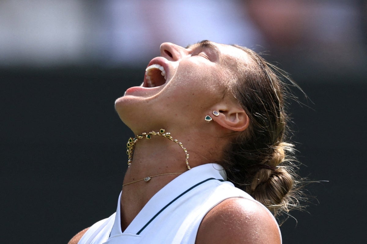 Sabalenka complains about Wimbledon dog policy ahead of tournament