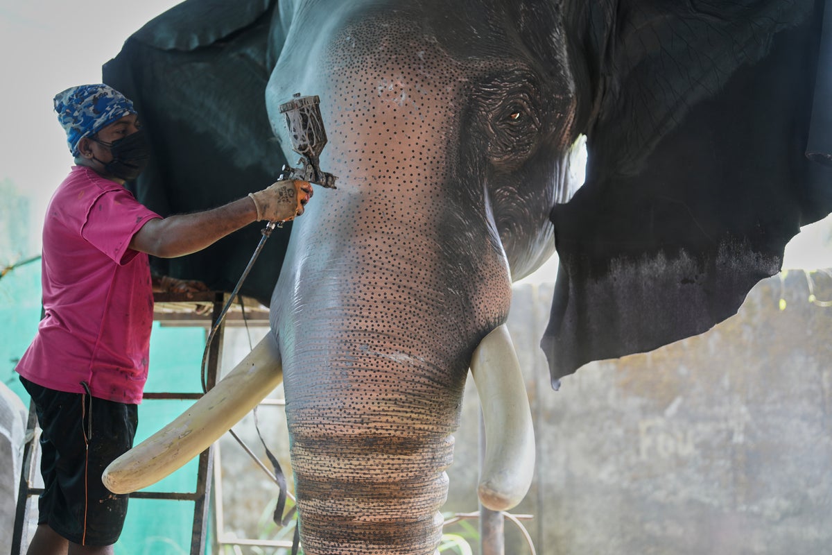 Robotic elephants are replacing live ones at Kerala temple festivals, in photos Robotic elephants are replacing live ones at Kerala temple festivals, in photos