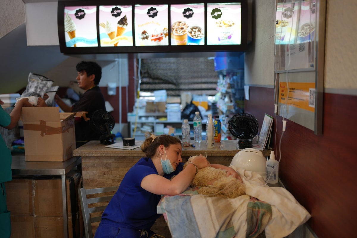 ‘É uma coisa boa dentre todas as coisas ruins’: Sobrevivente do terremoto na Venezuela se reencontra com animal de estimação desaparecido no McDonald’s