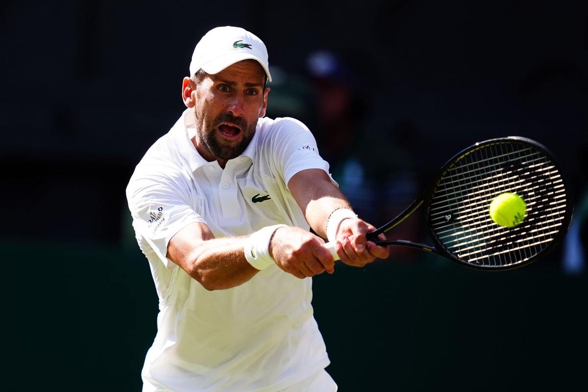 Novak Djokovic recovers from poor third set to continue Wimbledon title bid
