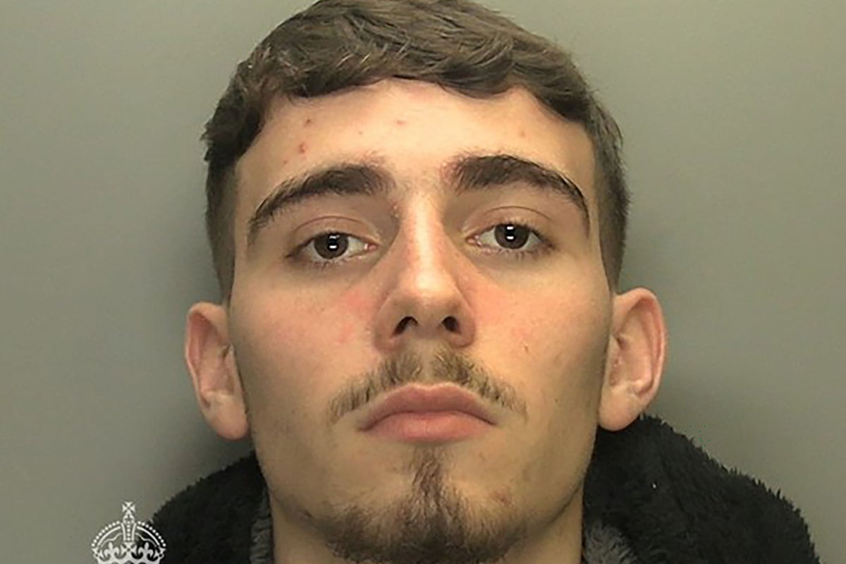 Teen who used car to fatally run over mother-of-three jailed for life