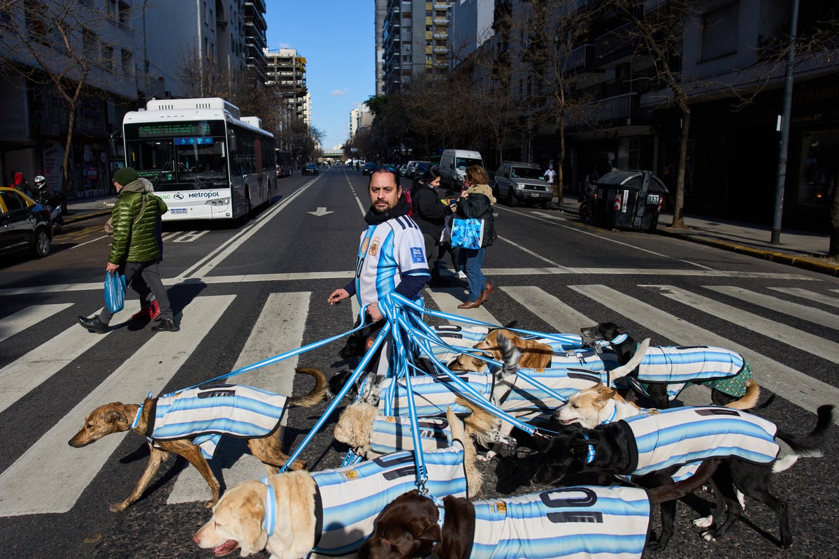 Buenos Aires dog walker dresses 13 puppies in Argentina jerseys for World Cup fans