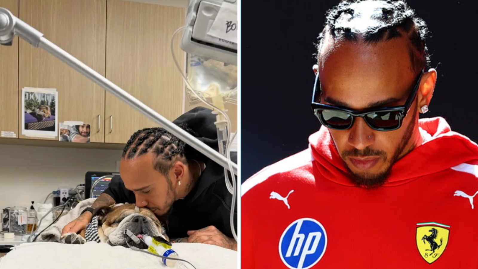 Lewis Hamilton pays tribute to dog Roscoe with surprising grand prix ...