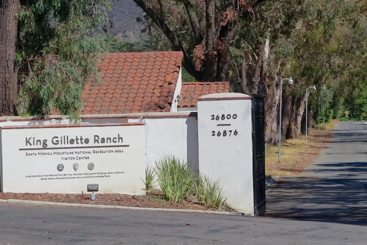 Family of 8-year-old boy killed by falling tree in California park given $14m compensation