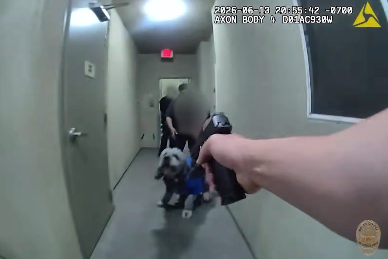 Officers were called to the Canoga Park apartment when a neighbor grew concerned over residents’ repeatedly saying, ‘Oh my God,’ statements they later learned were celebrations over the Knicks NBA Finals win