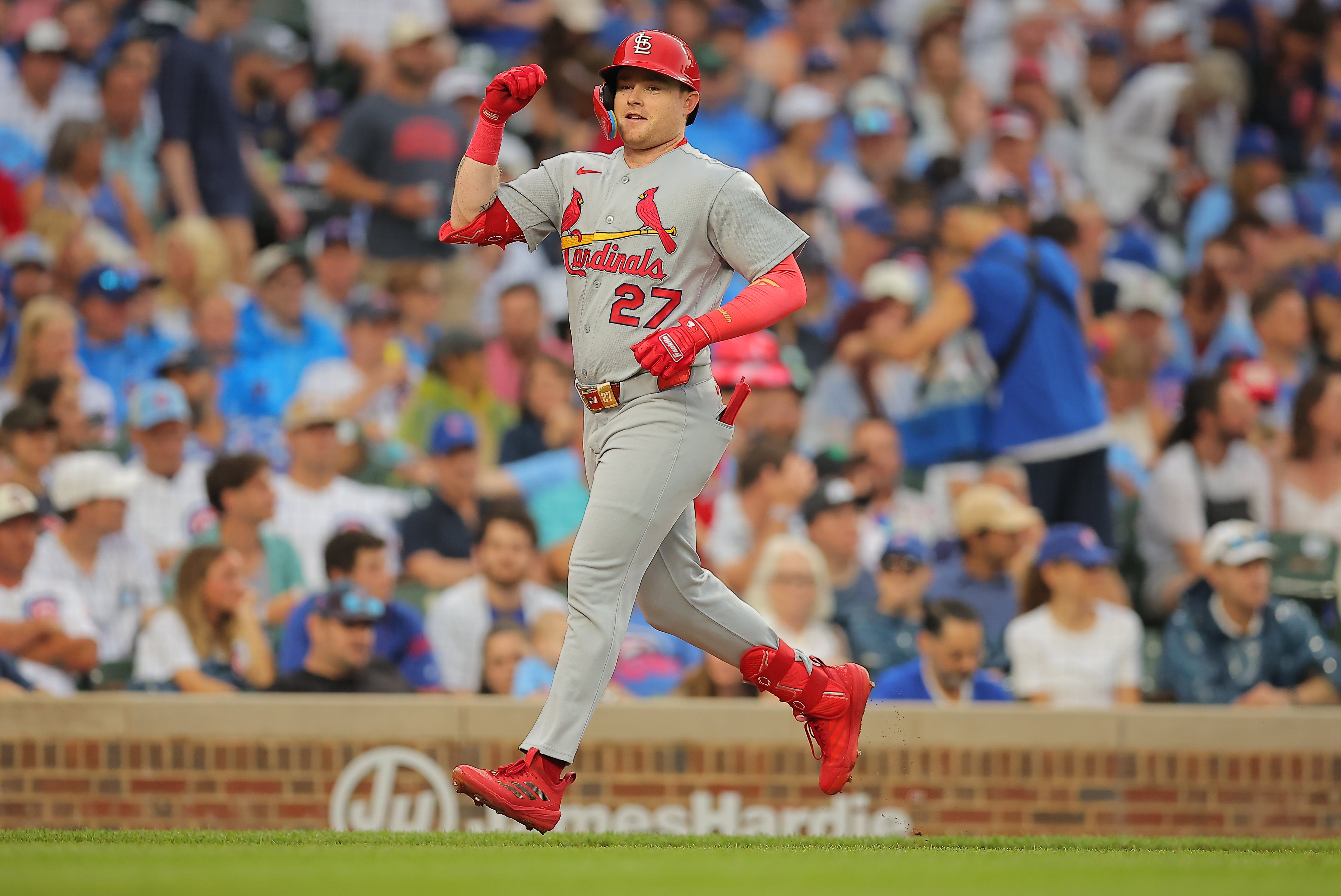 CARDENALES-CACHORROS