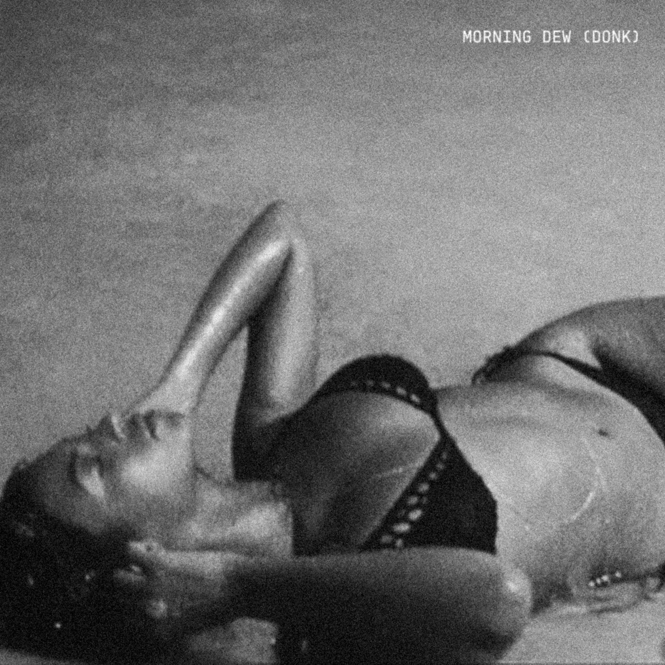 Beyoncé has released a new song, ‘MORNING DEW (DONK),’ to mark the 4th of July holiday in the US (PA)
