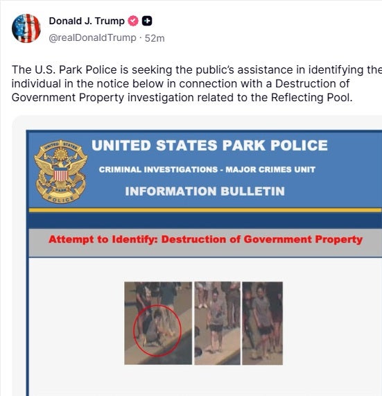 Donald Trump was hard at work attempting to help U.S. Park Police catch another alleged Reflecting Pool vandal on Sunday
