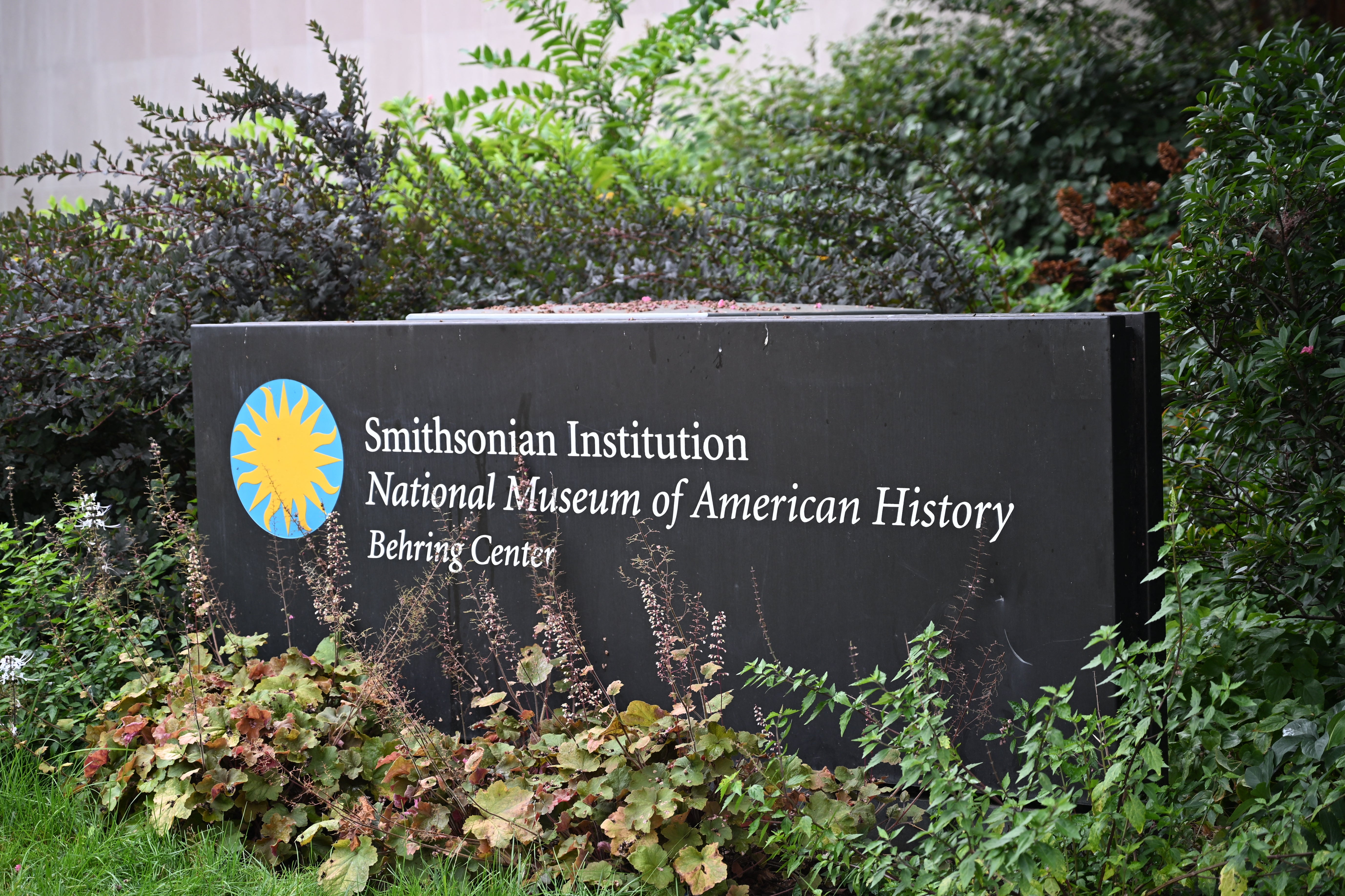 Earlier in March, President Trump had already indicated his intent to enforce changes at the Smithsonian through an executive order, which aimed to cut funding for programs promoting ‘divisive narratives’ (Alex Wroblewski/AFP via Getty Images)