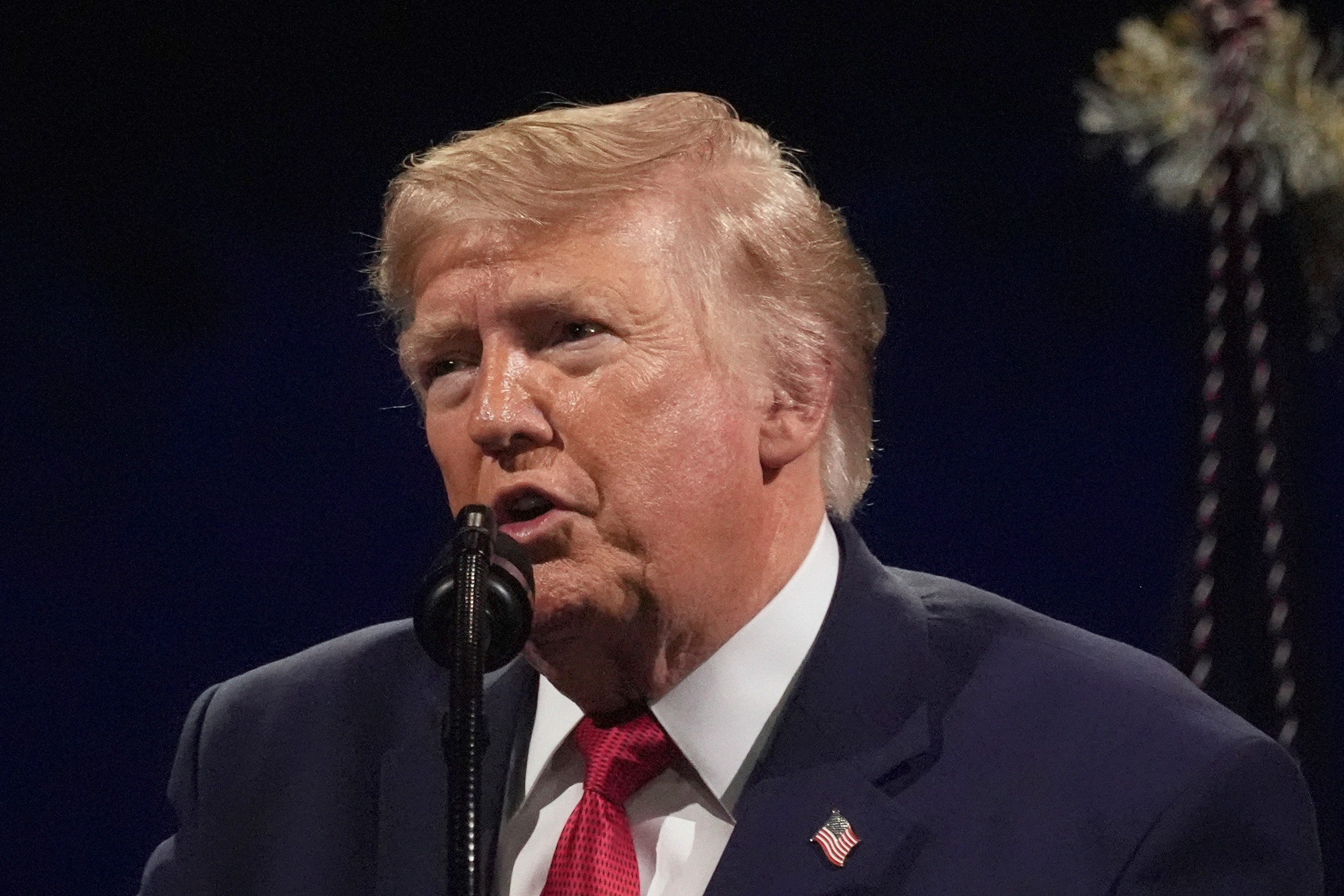 Trump concluded his speech on the National Mall by declaring that the 'spirit of 1776 still lives within us all' (AP Photo/Mark Schiefelbein)