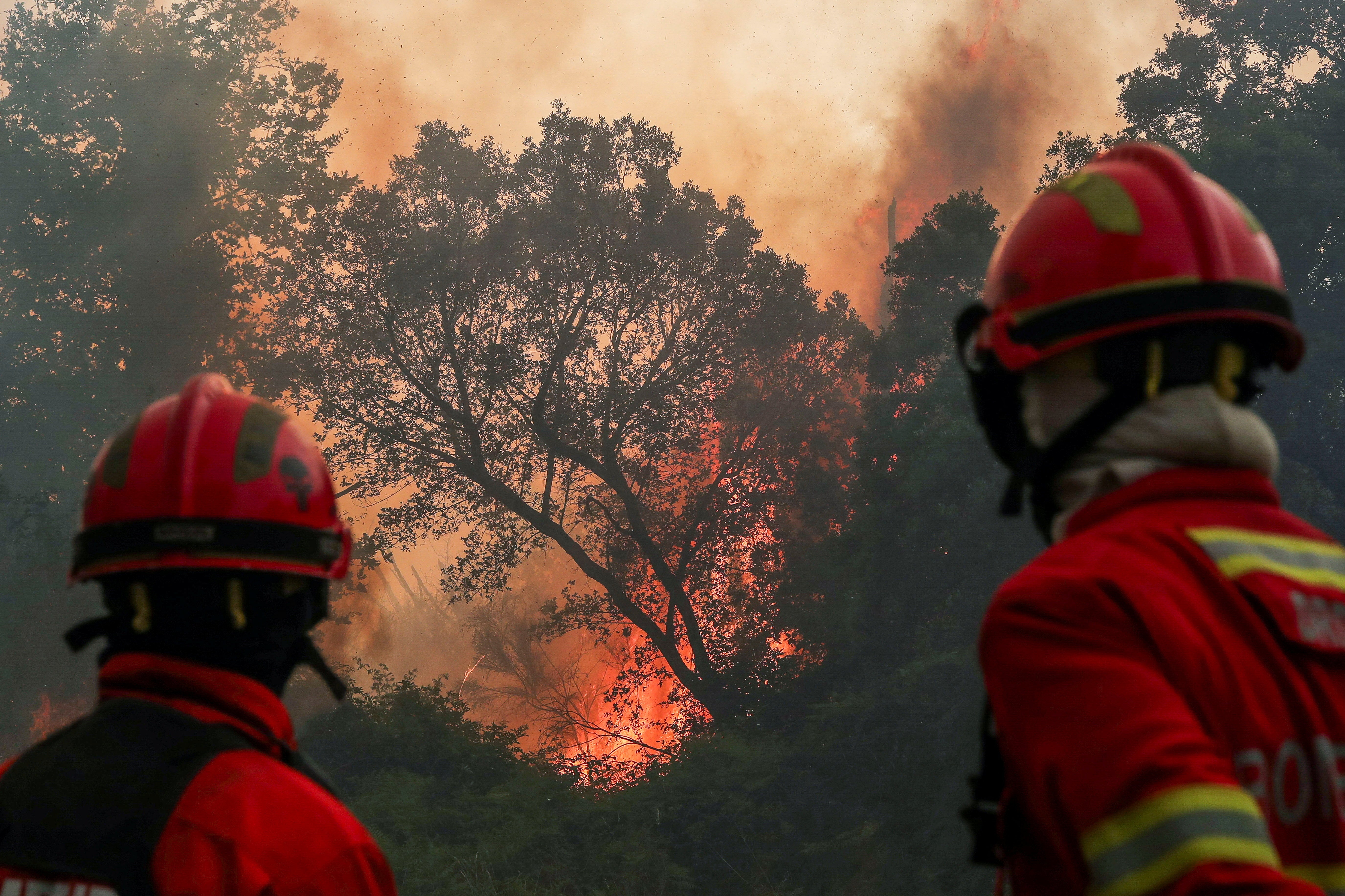 Firefighters work to prevent flames from advancing towards the village of Cercosa during a wildfire in Vouzela, Portugal, July 4, 2026. REUTERS/Pedro Rocha