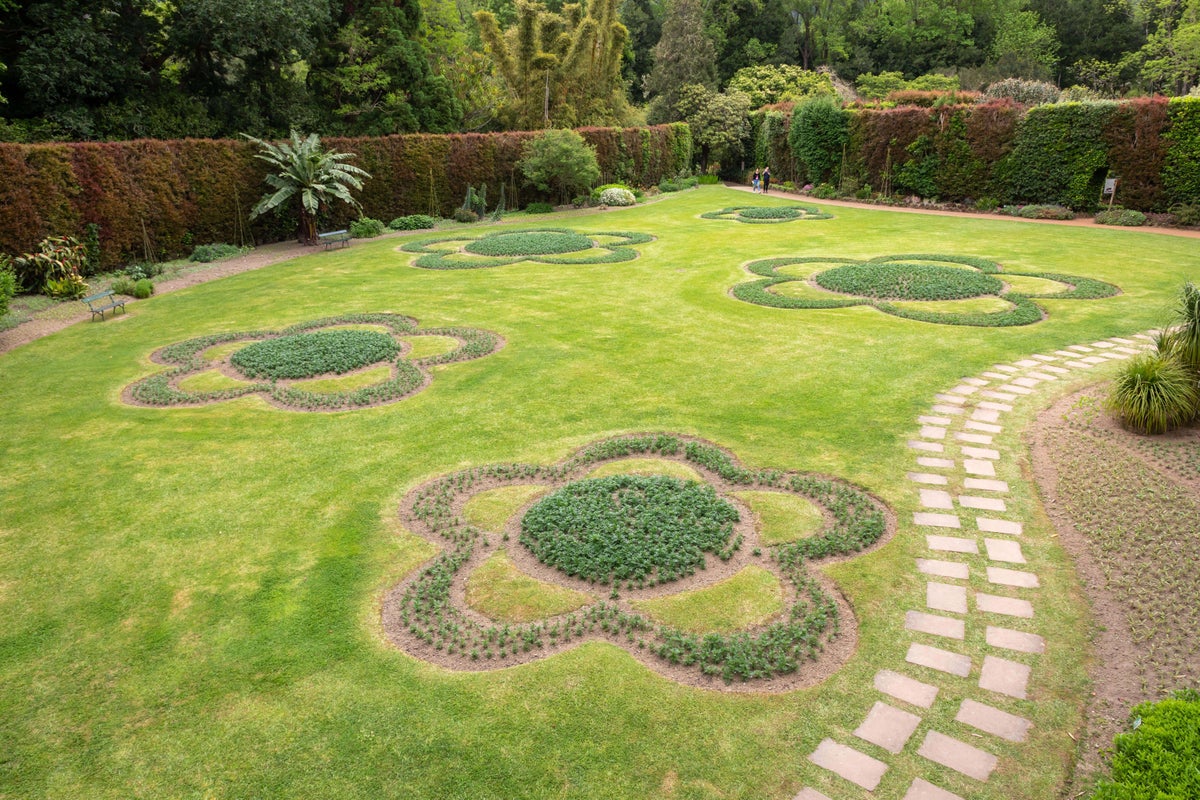 What are tapestry lawns and will they cope with dry spells? What are tapestry lawns and will they cope with dry spells?