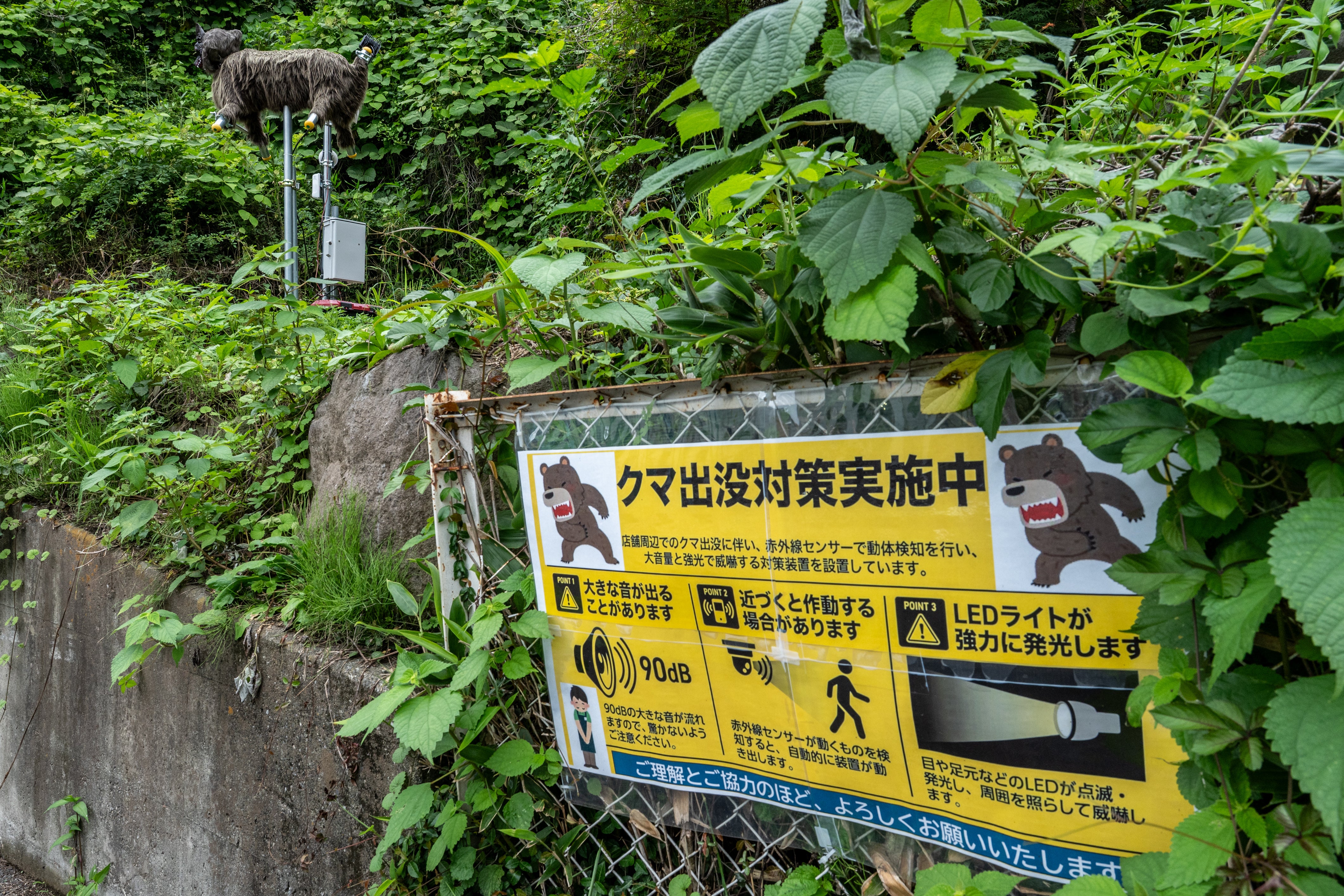 A sign showing bear deterrent measurements is pictured next to a robotic wolf-shaped deterrent device outside a convenience store at a rural area in Kiryu city in Gunma prefecture (AFP/Getty)