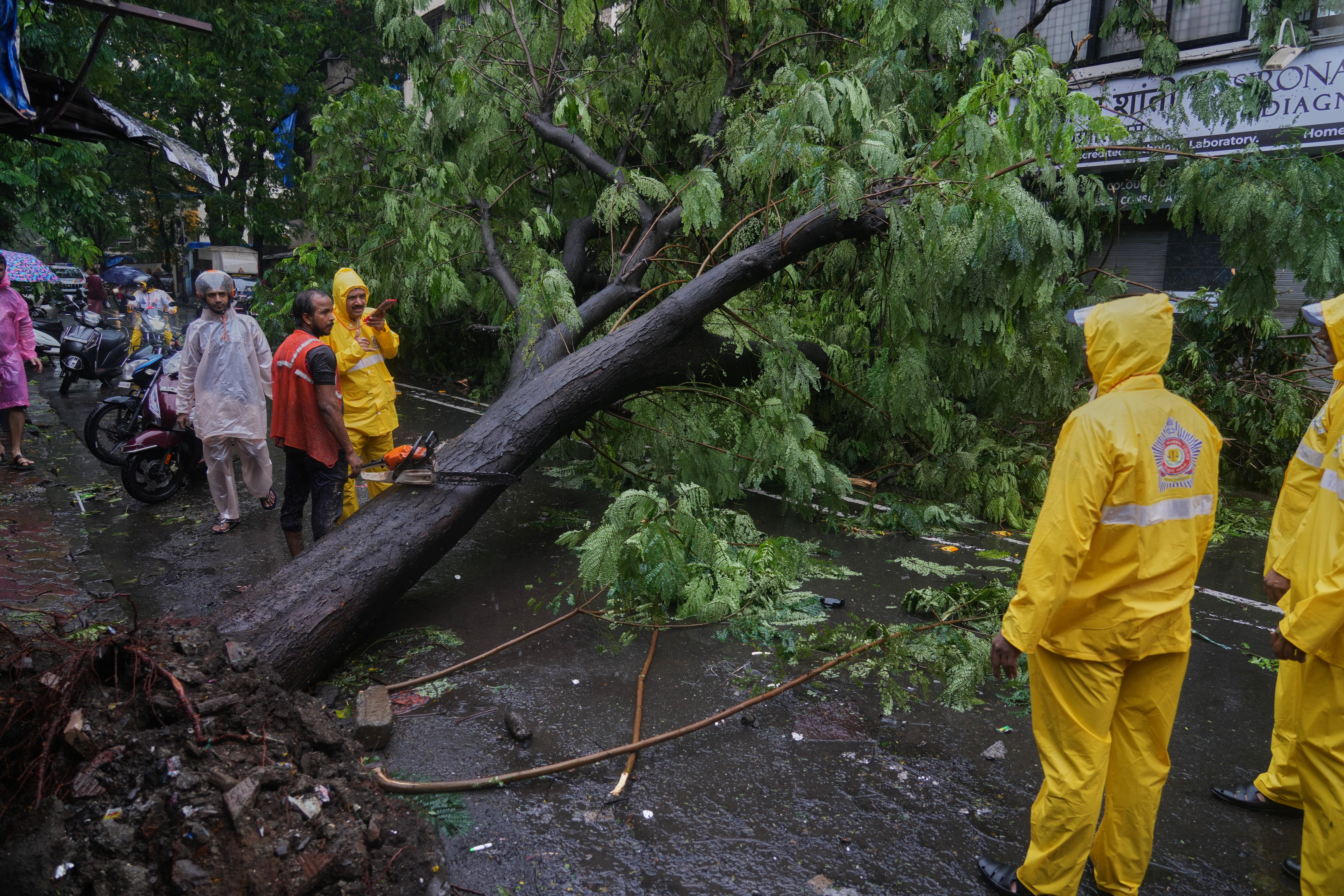 Police officers stand near a tree that fell onto a street during monsoon rains in Mumbai