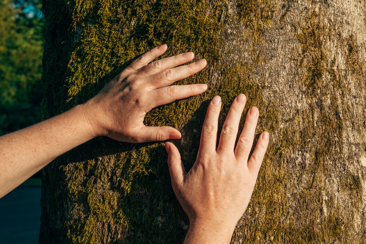 Why are your fingers different lengths? The surprising science explained