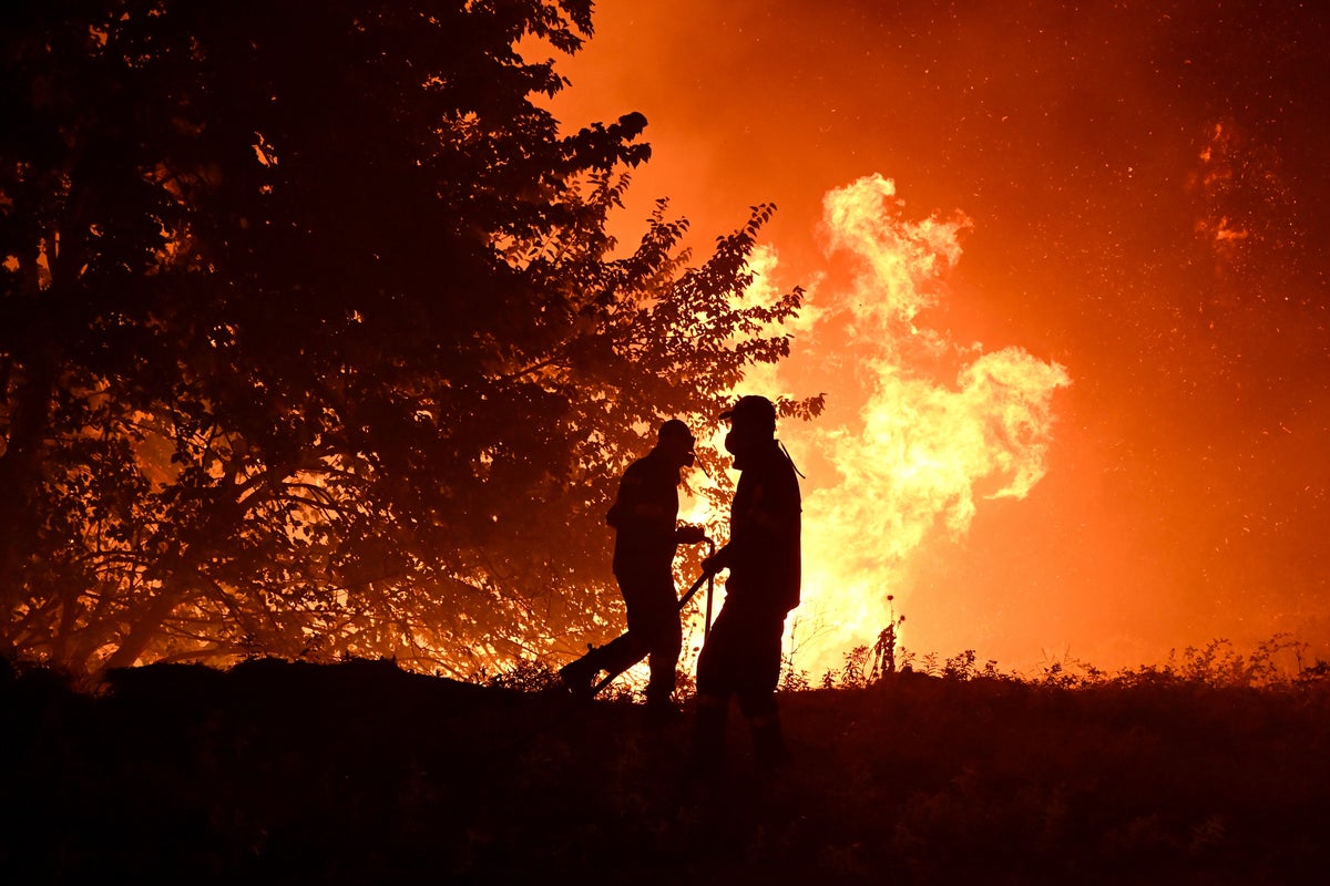 Who warns Europe faces ‘more deadly weeks’ as heatwave builds again
