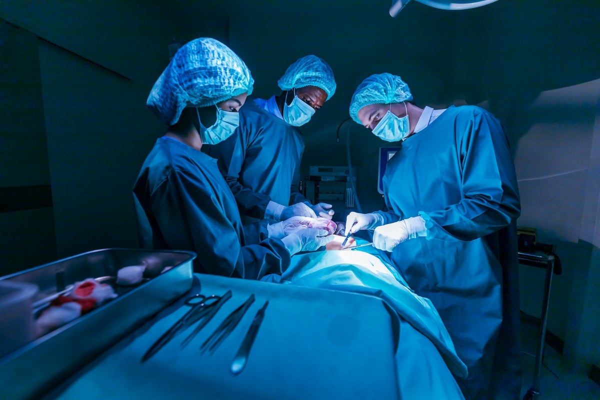 Groundbreaking new liver transplant procedure offers hope to patients – UK Times Groundbreaking new liver transplant procedure offers hope to patients – UK Times
