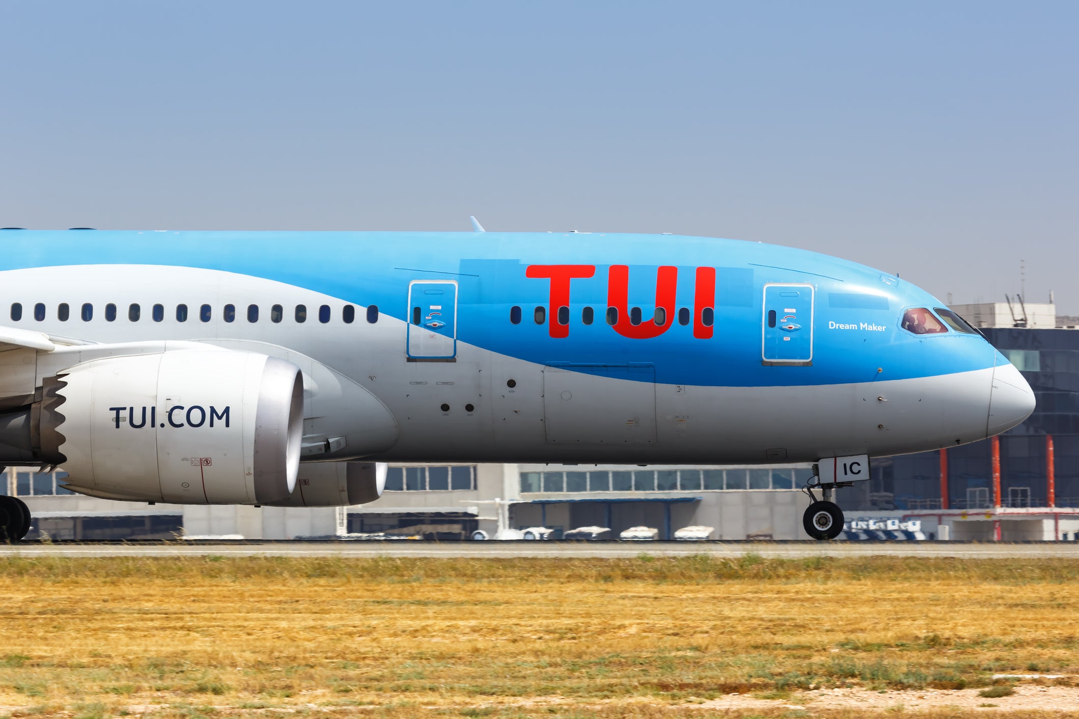 Stowaway snake discovered on Tui flight to London