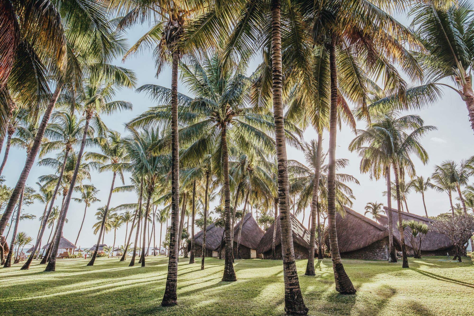Traditional thatched roofs, shaped like the sails of local pirogue boats, lend character to this hotel