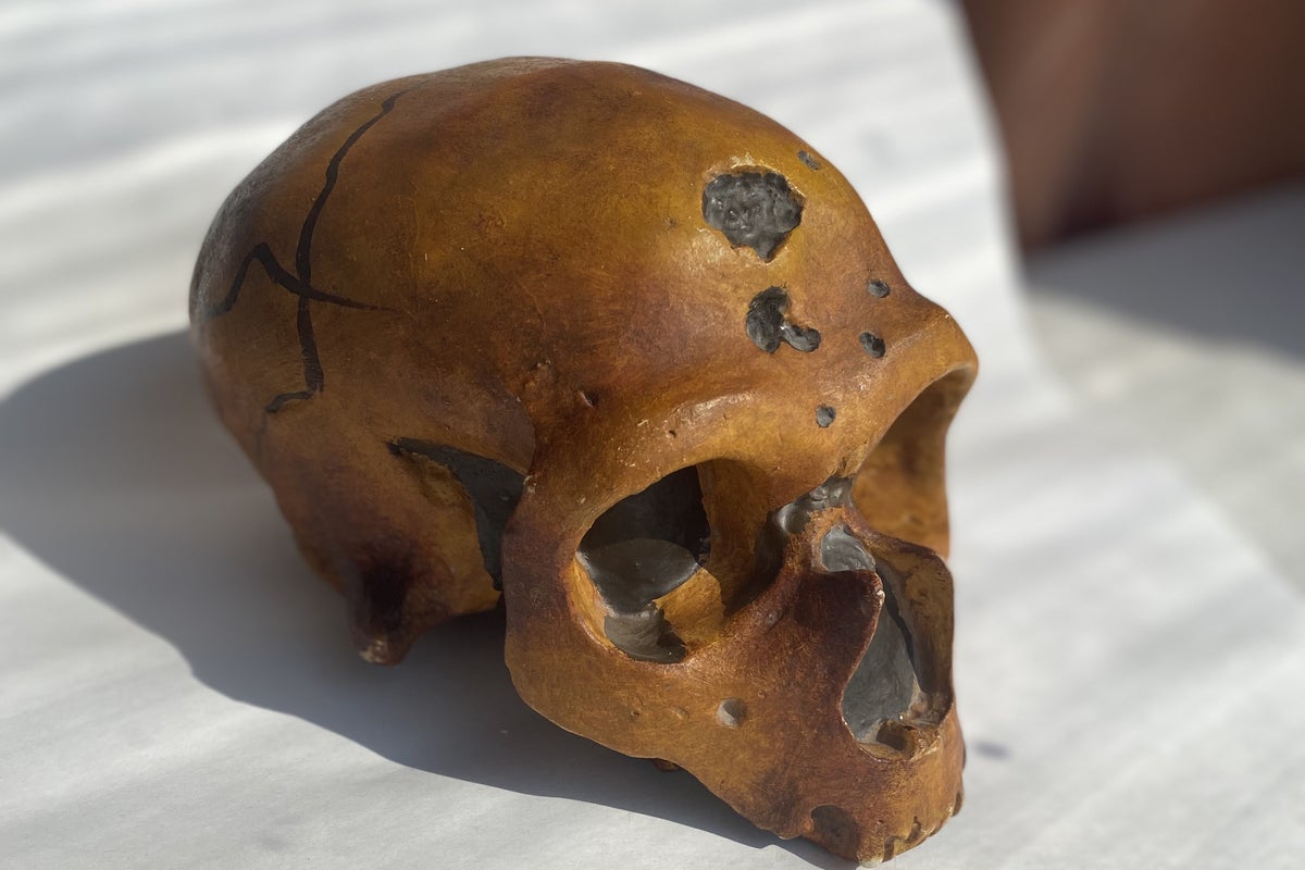 Neanderthals and humans were friends, ancient cave discovery in Turkey shows – UK Times Neanderthals and humans were friends, ancient cave discovery in Turkey shows – UK Times