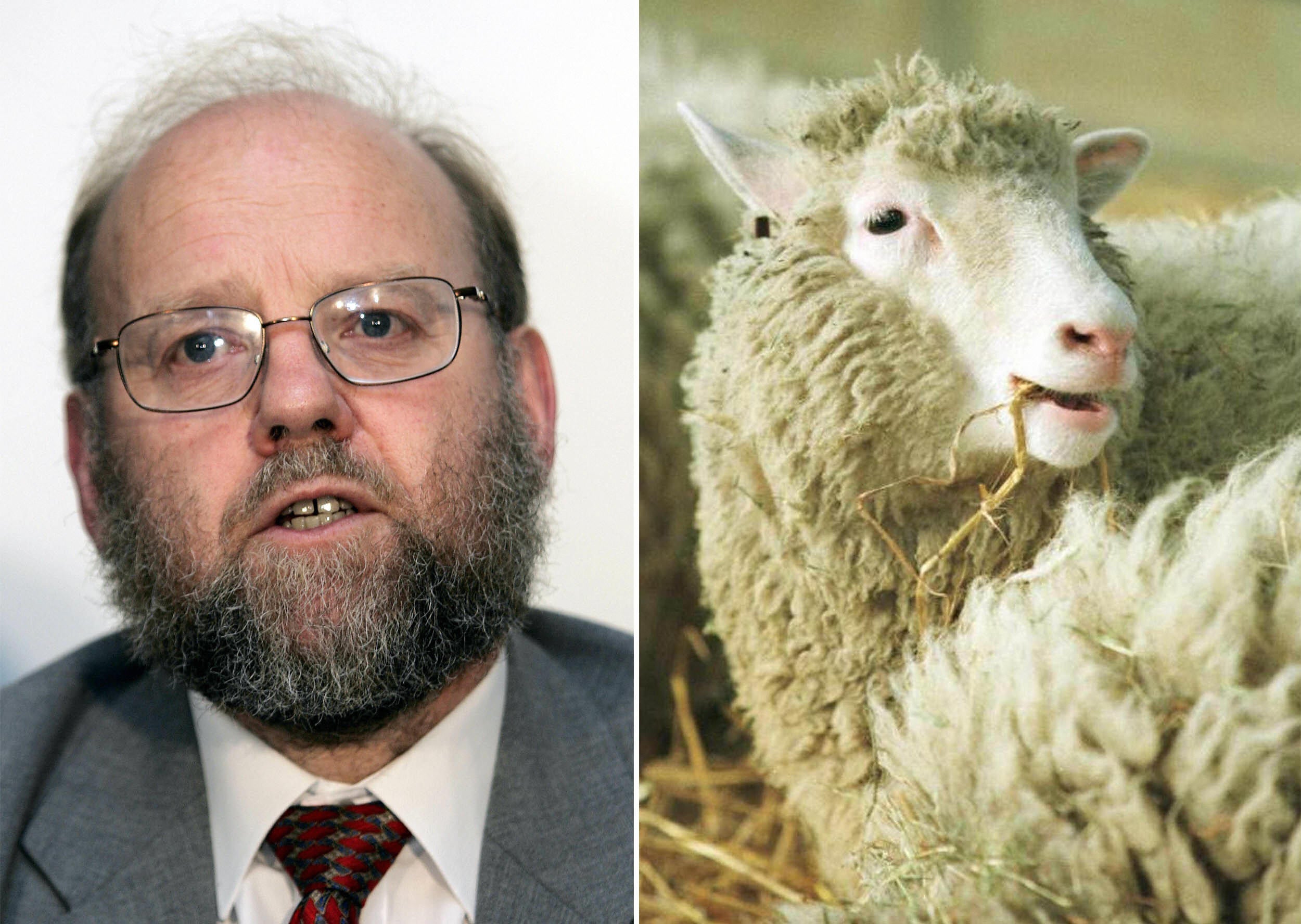 Ian Wilmut from the Roslin Institute in Edinburgh, the scientist who created Dolly the sheep, the world's first cloned mammal