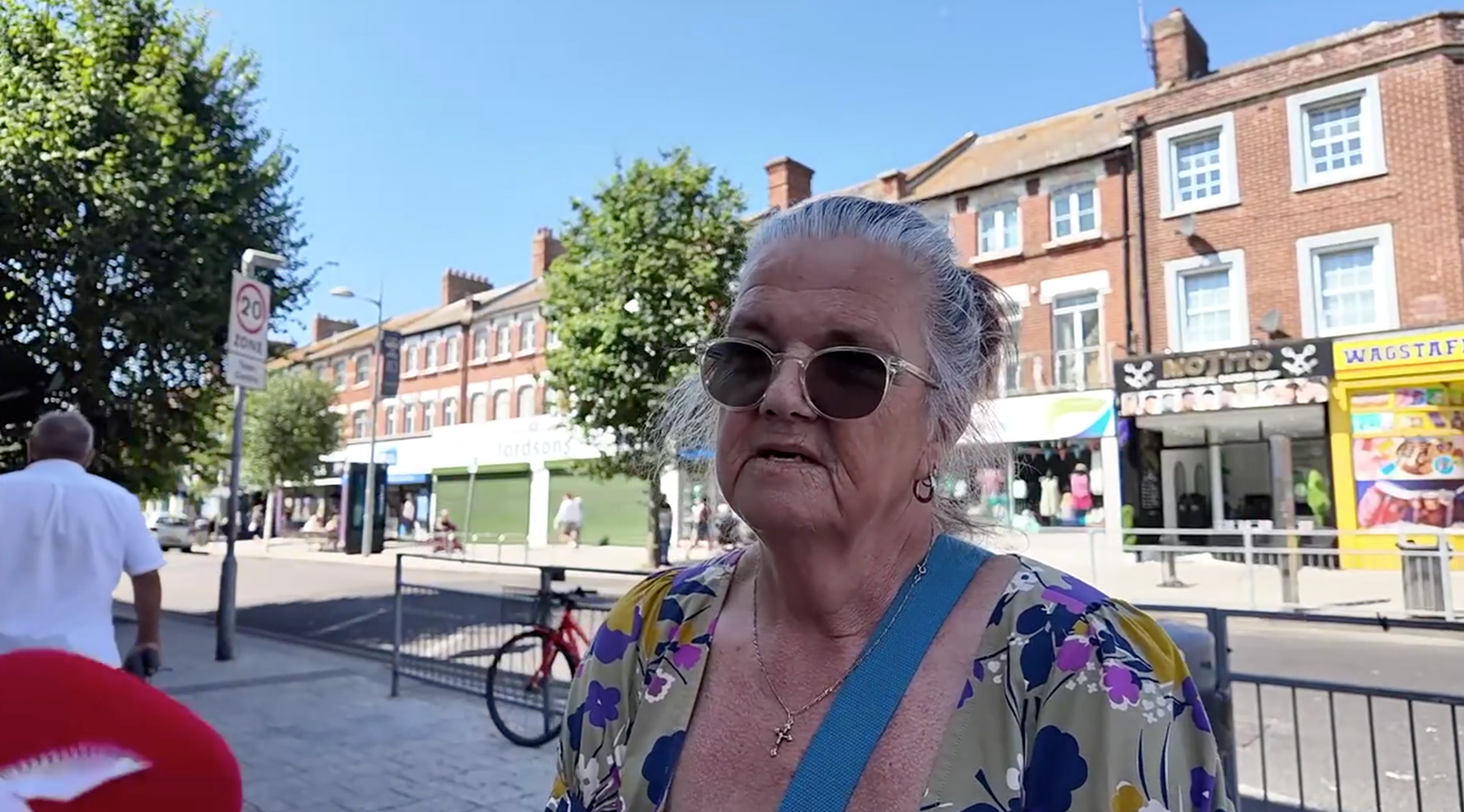 Jane Tree compared Mr Farage to an uncle