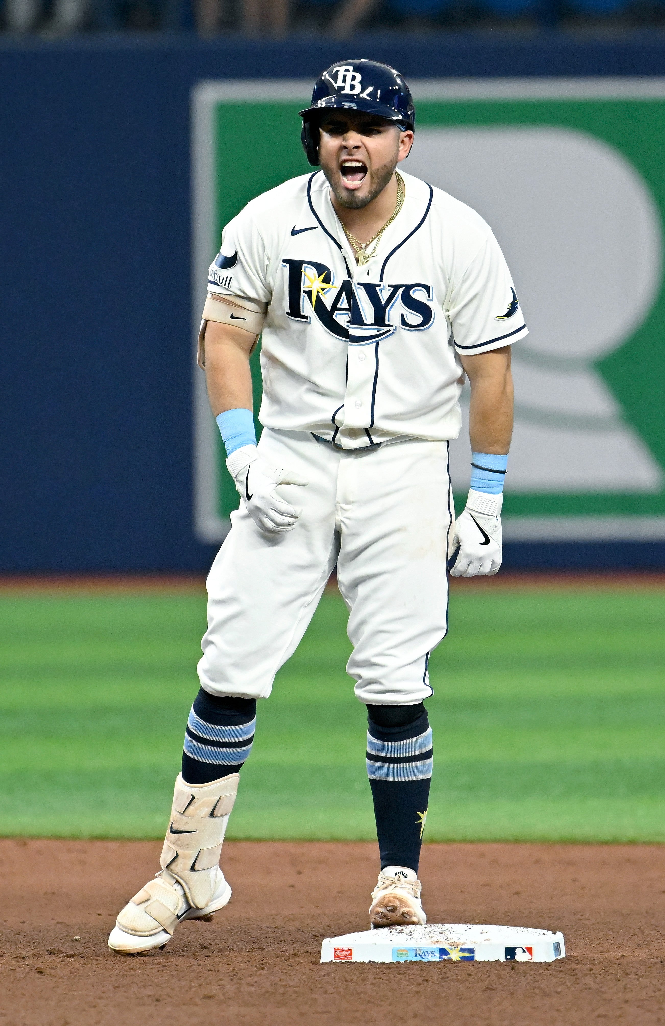 YANKEES-RAYS
