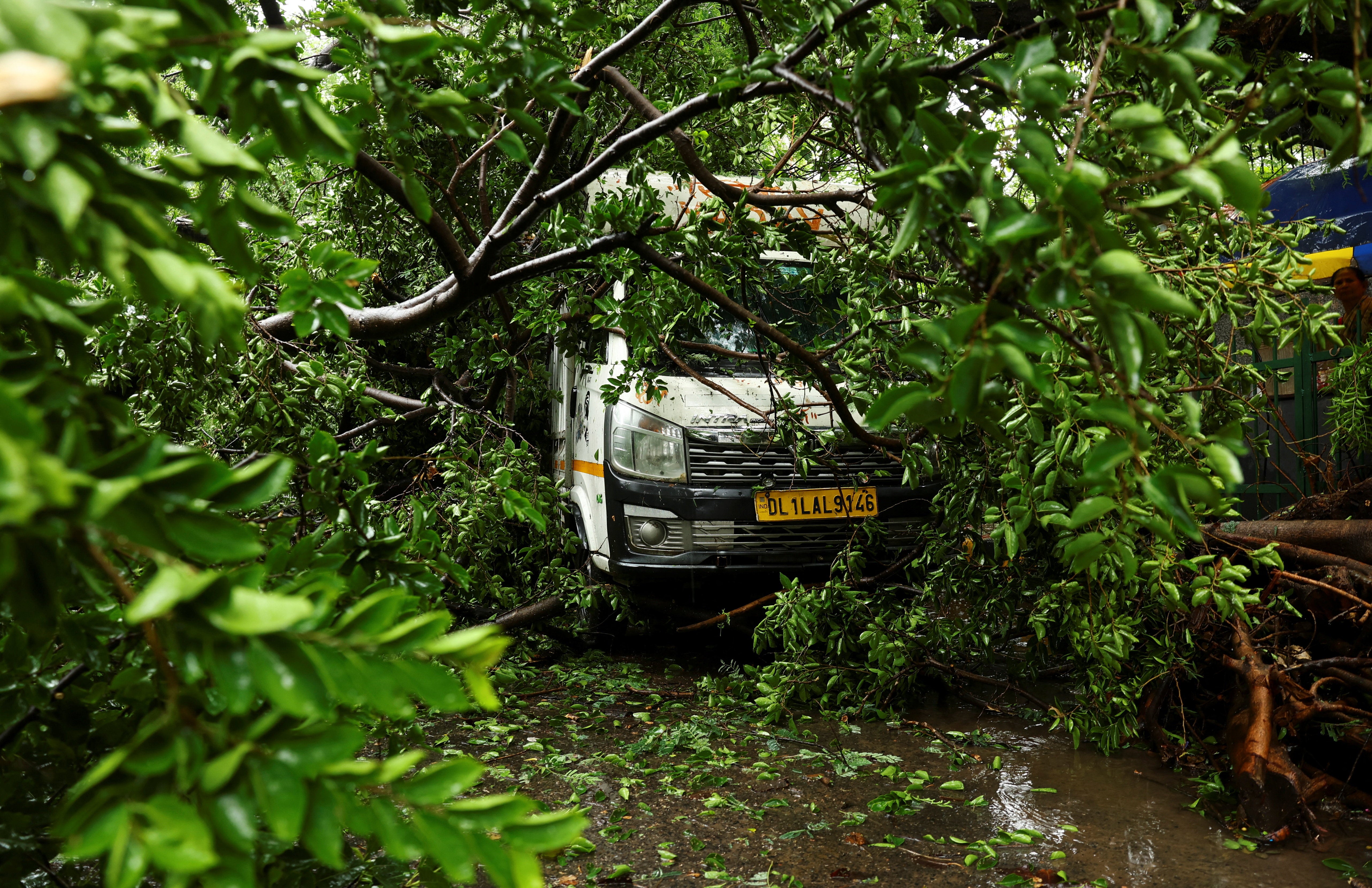 A vehicle is stuck under a fallen tree during heavy rain in Delhi, India, on 9 July 2026 (Reuters)