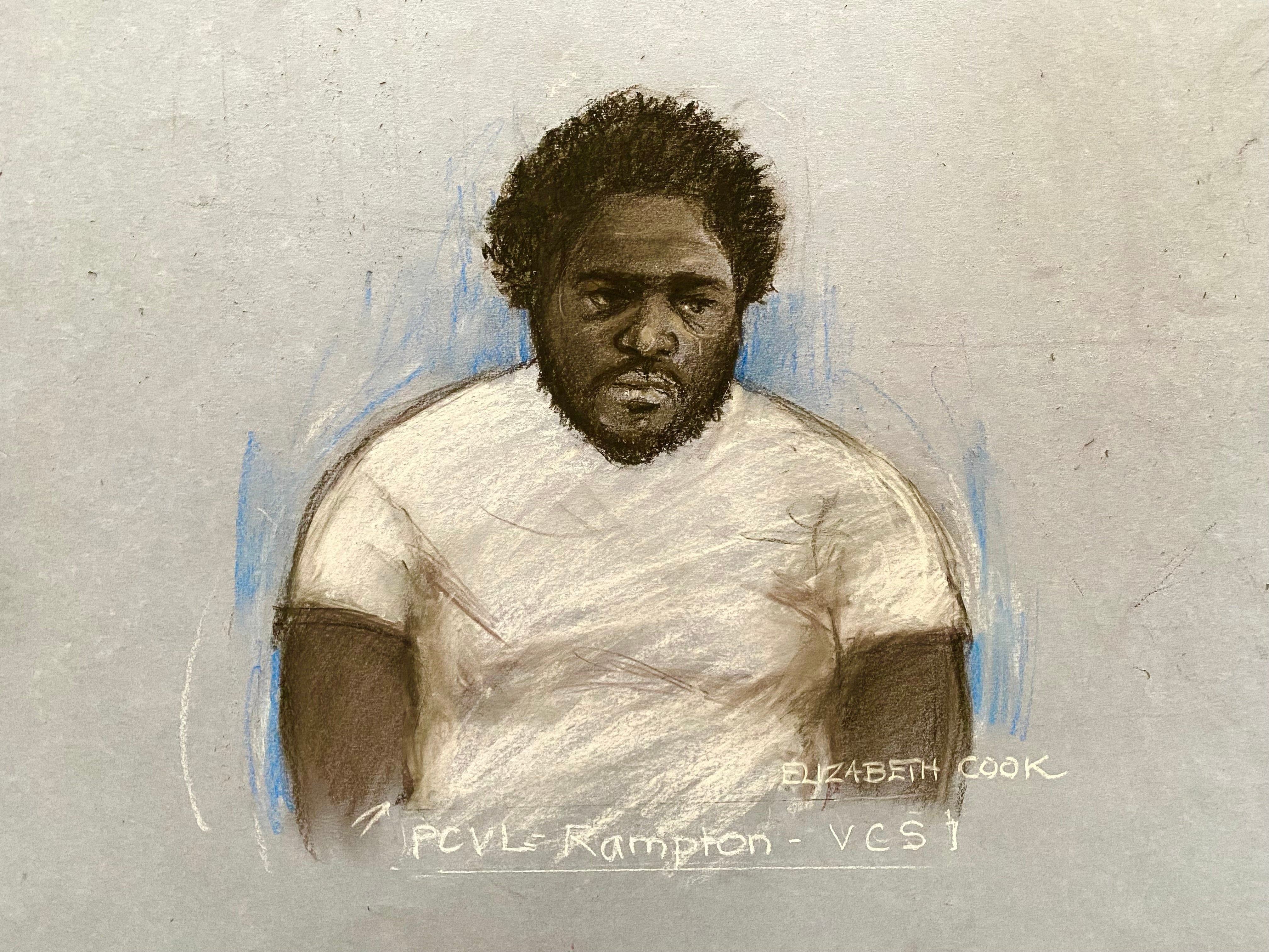 Anthony Williams appeared at Cambridge Crown Court charged with 10 counts of attempted murder, one count of actual bodily harm and one count of possession of a bladed article following a knife attack on a train in Cambridgeshire.