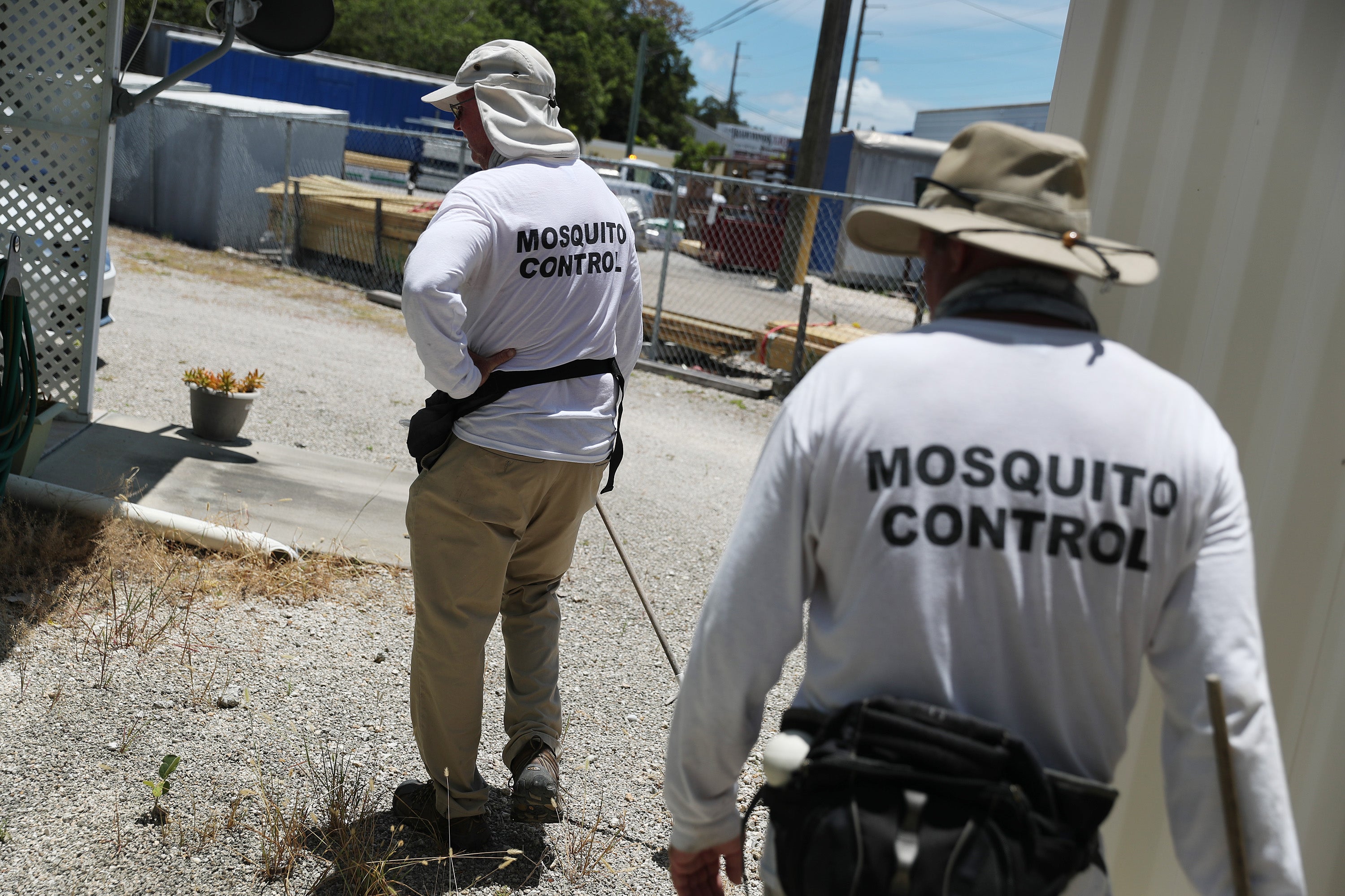 Some natural home remedies can help protect your yard from mosquitoes - and they are the same tricks used by Disney?