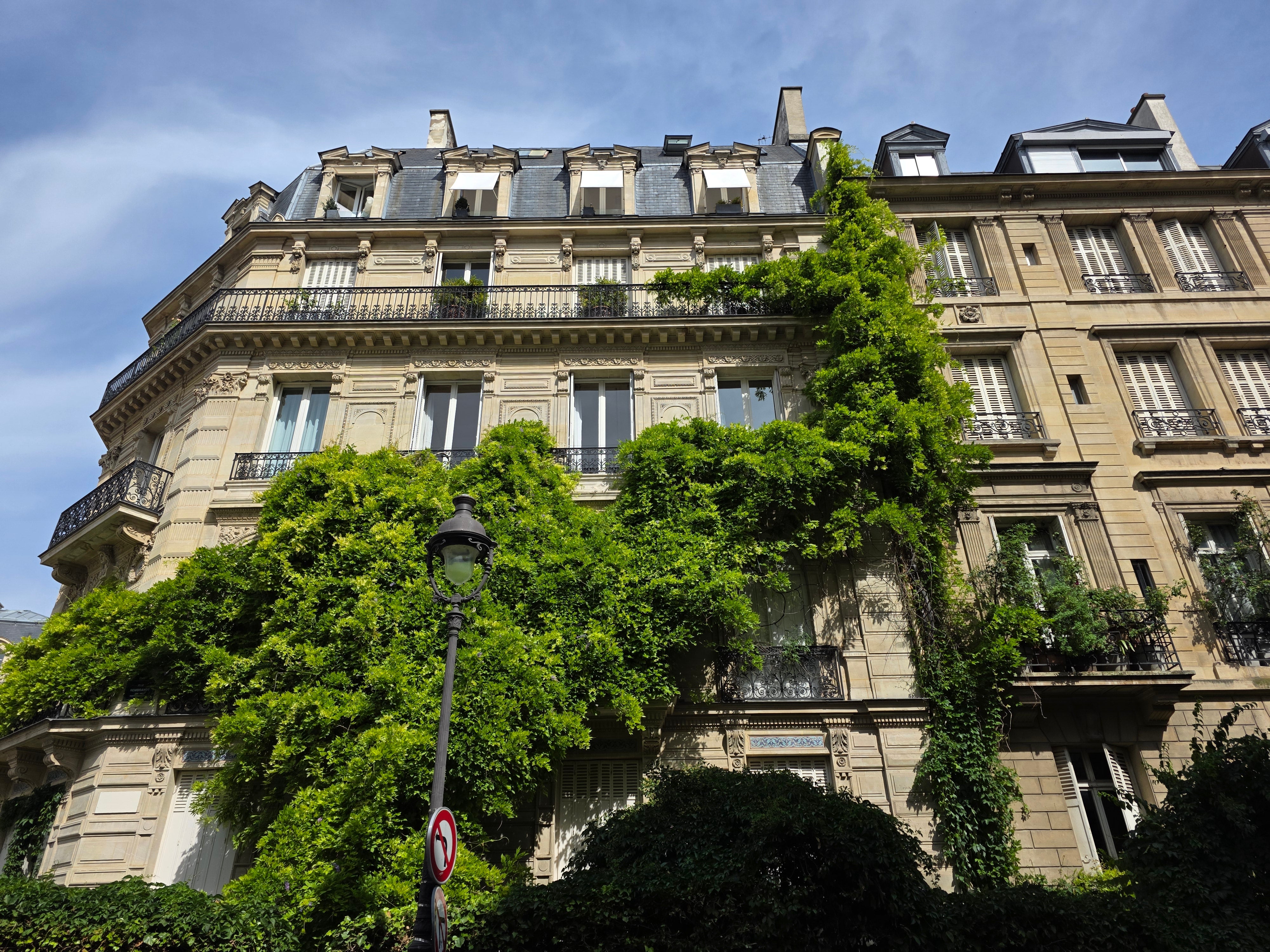 Summer can be the most peaceful time to visit the French capital