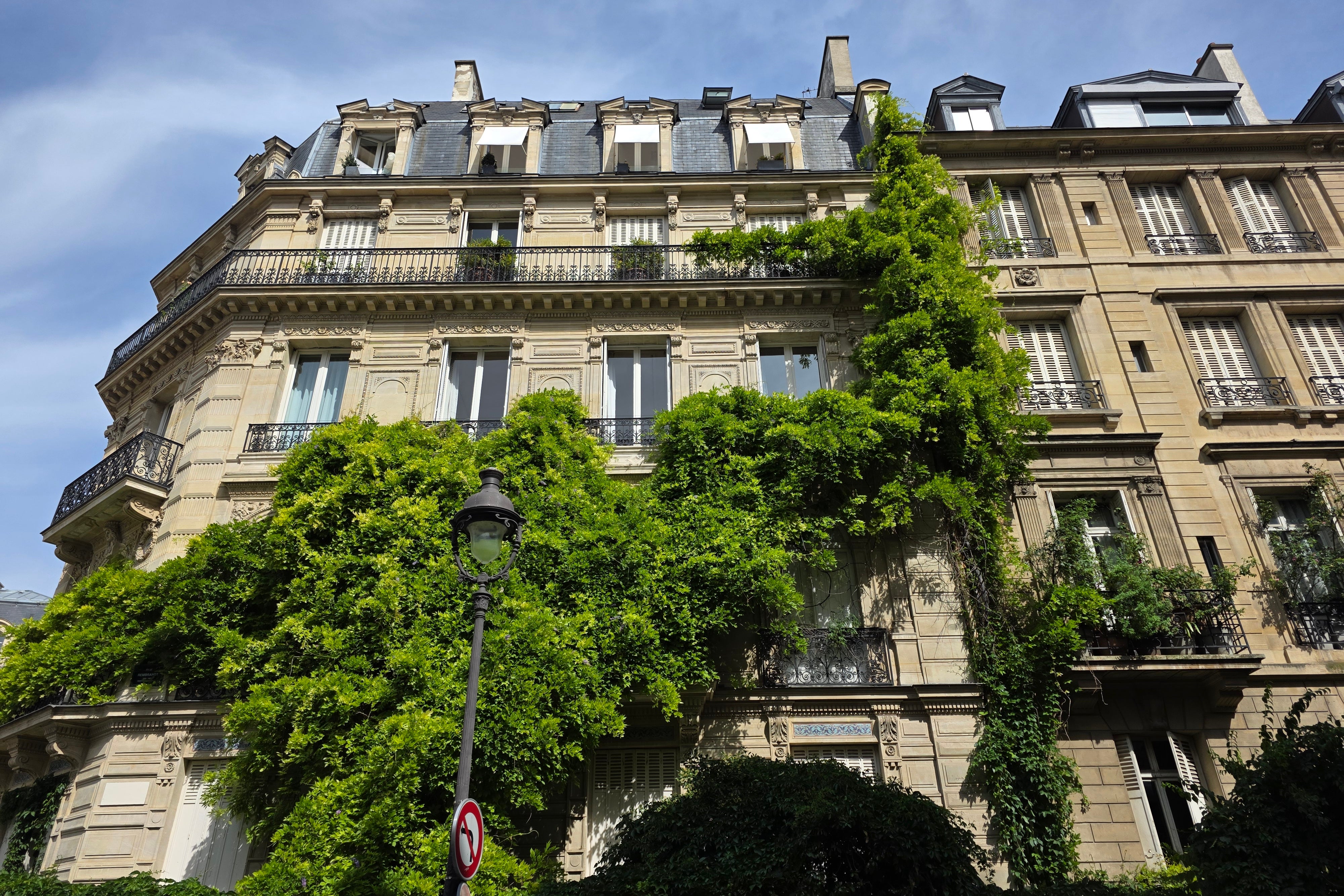 Summer can be the most peaceful time to visit the French capital (Anna Richards)