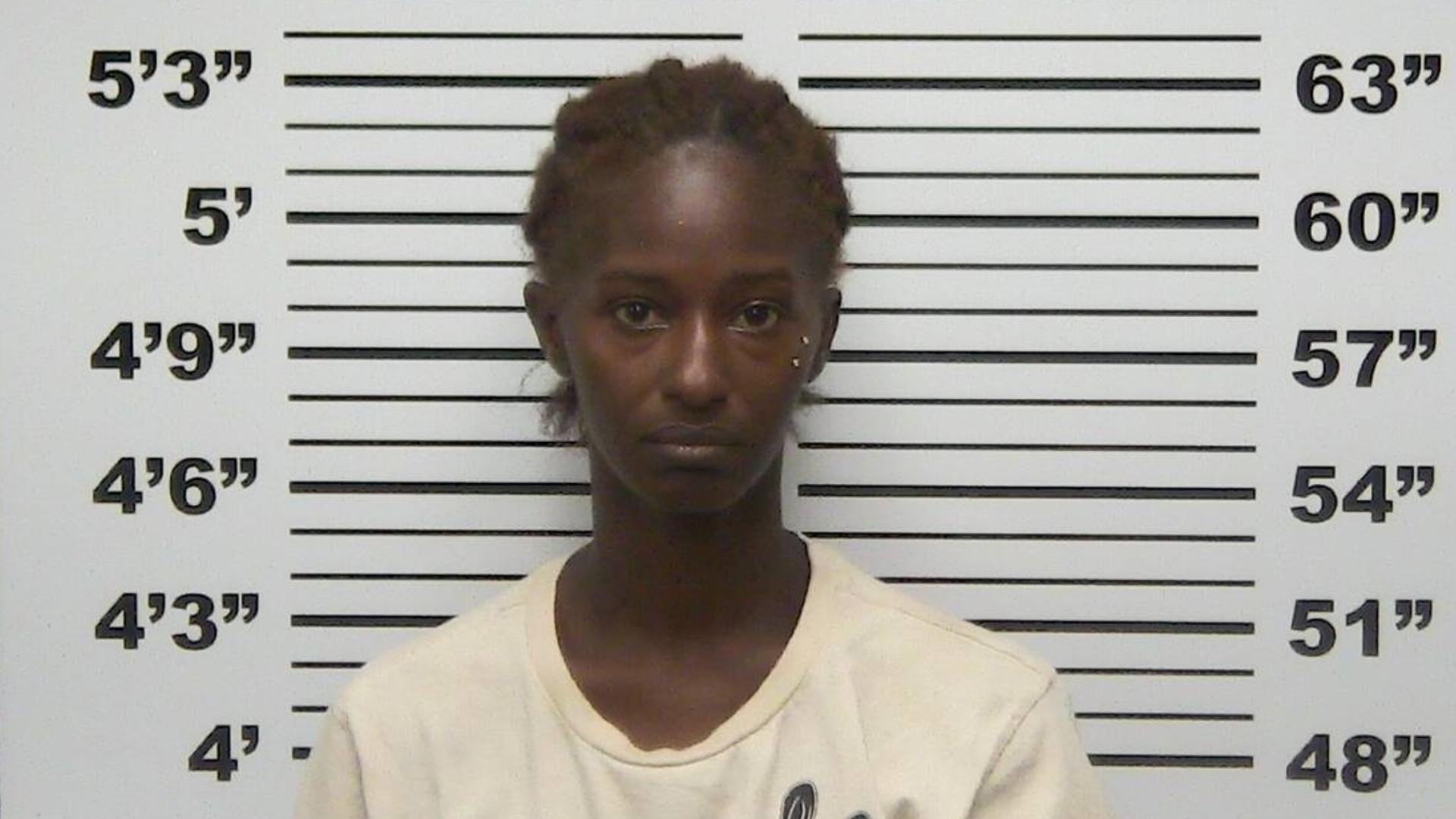 Kristie Dora, 35, of St. Louis, is facing parental kidnapping charges in connection to the case, police said (St. Francois County Sheriff's Department)