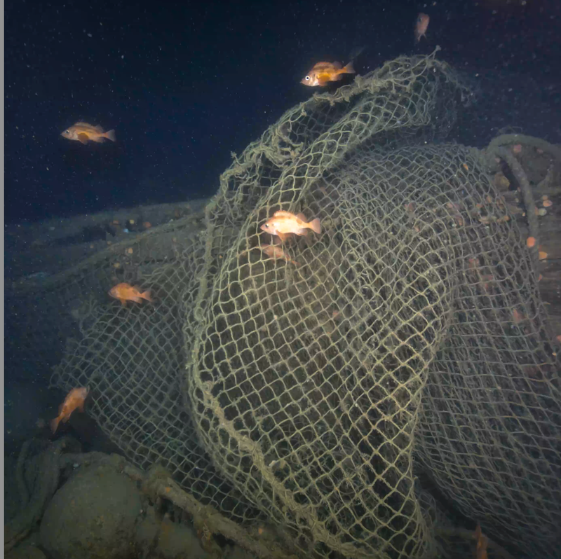 Portions of the wreck of Quest are draped in fishing nets