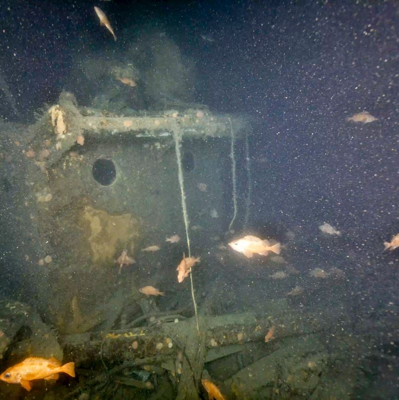 First close-up images of famed polar explorer Ernest Shackleton&rsquo;s last ship released
