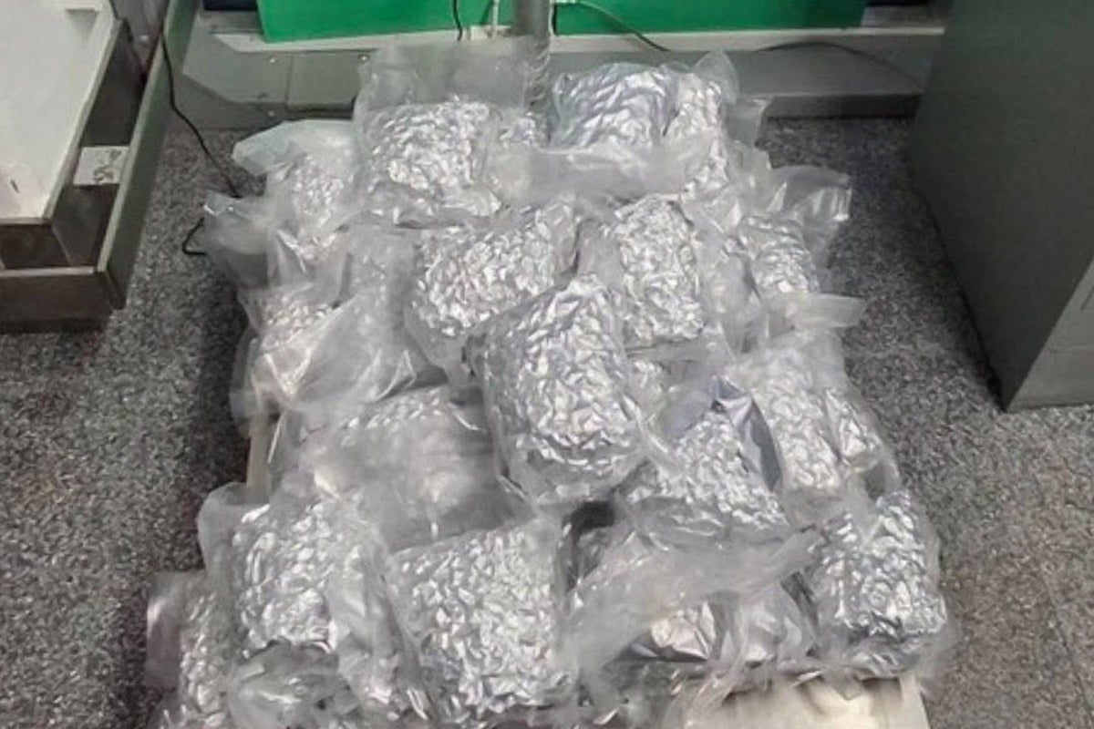 Russian national hiding 17kg cannabis in suitcases arrested at Thailand airport – UK Times Russian national hiding 17kg cannabis in suitcases arrested at Thailand airport – UK Times