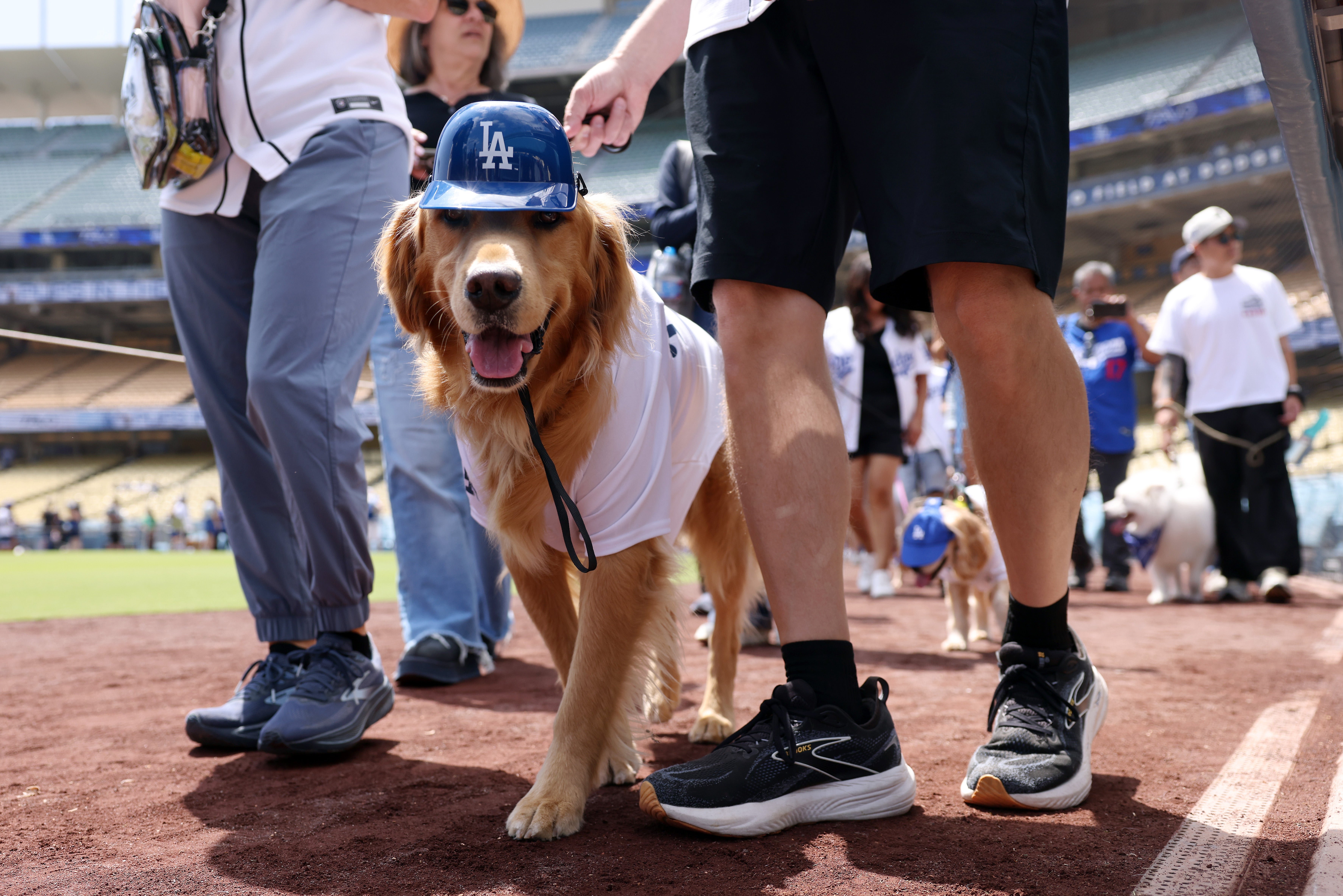 Pet sitting pays an average of $21.12 an hour, according to career site Indeed