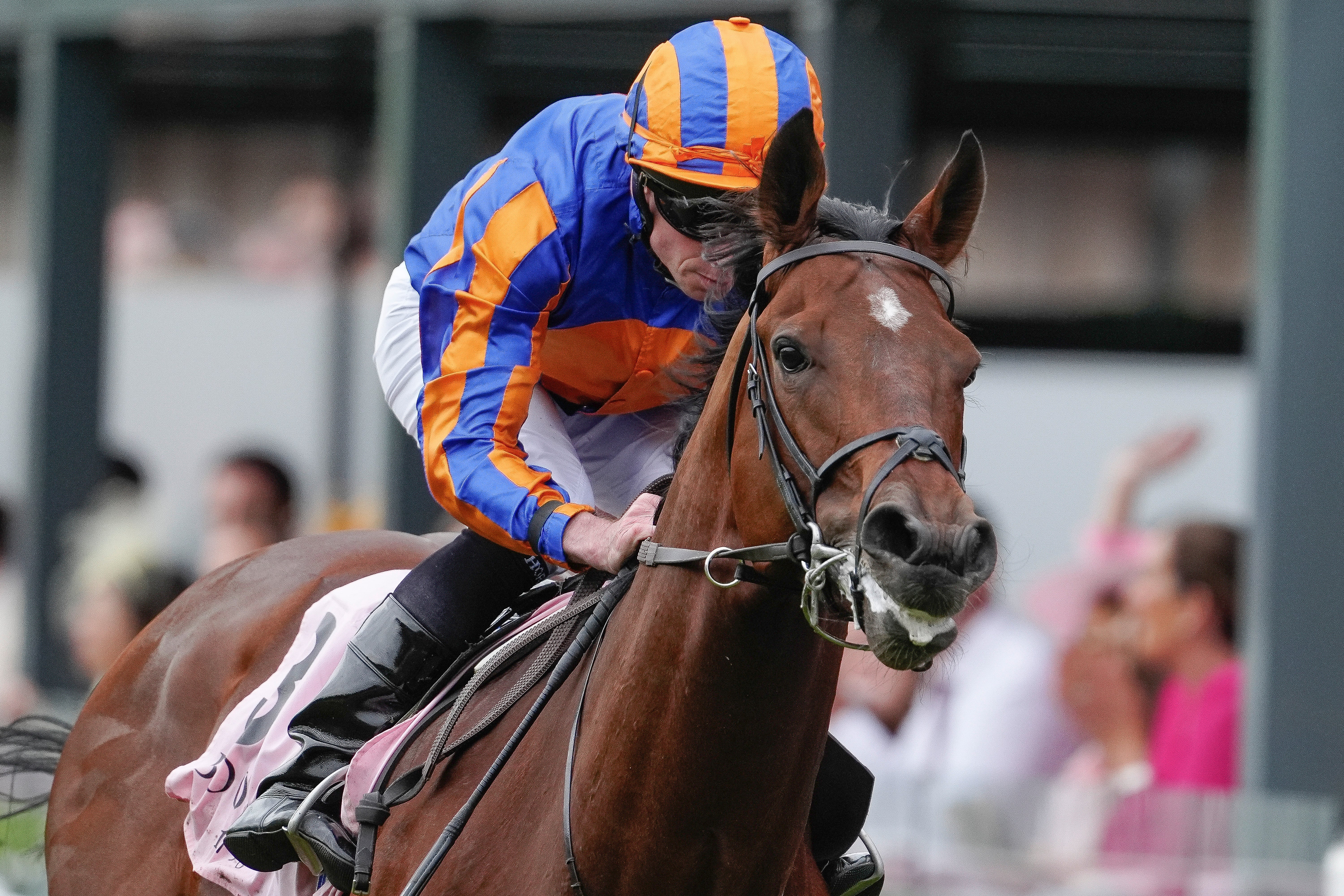 Constitution River made it five wins from six runs in the Eclipse last week