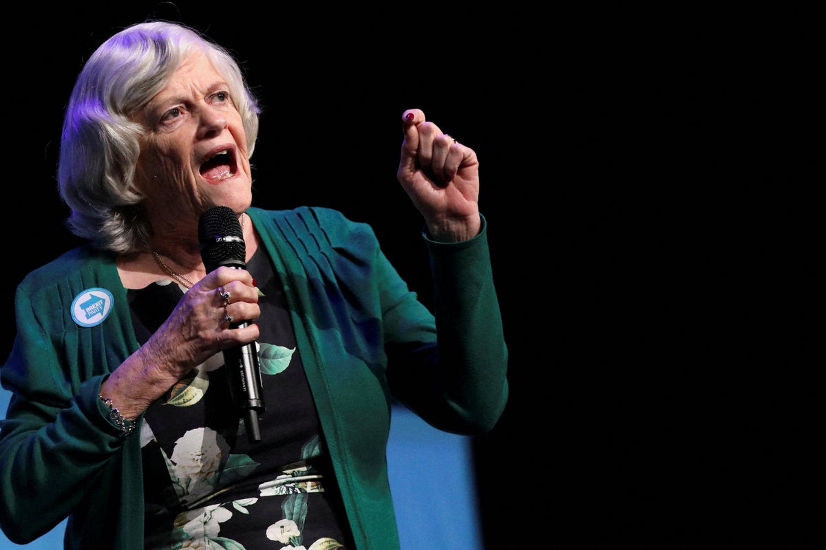 Ann Widdecombe murder investigation latest: Male suspect, 26, arrested over death of ex-MP released