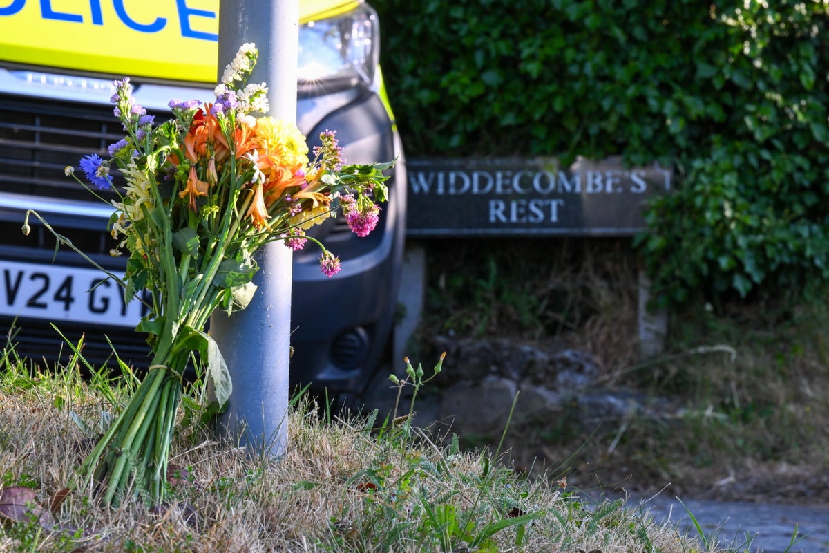 Man arrested on suspicion of Ann Widdecombe’s murder released by police