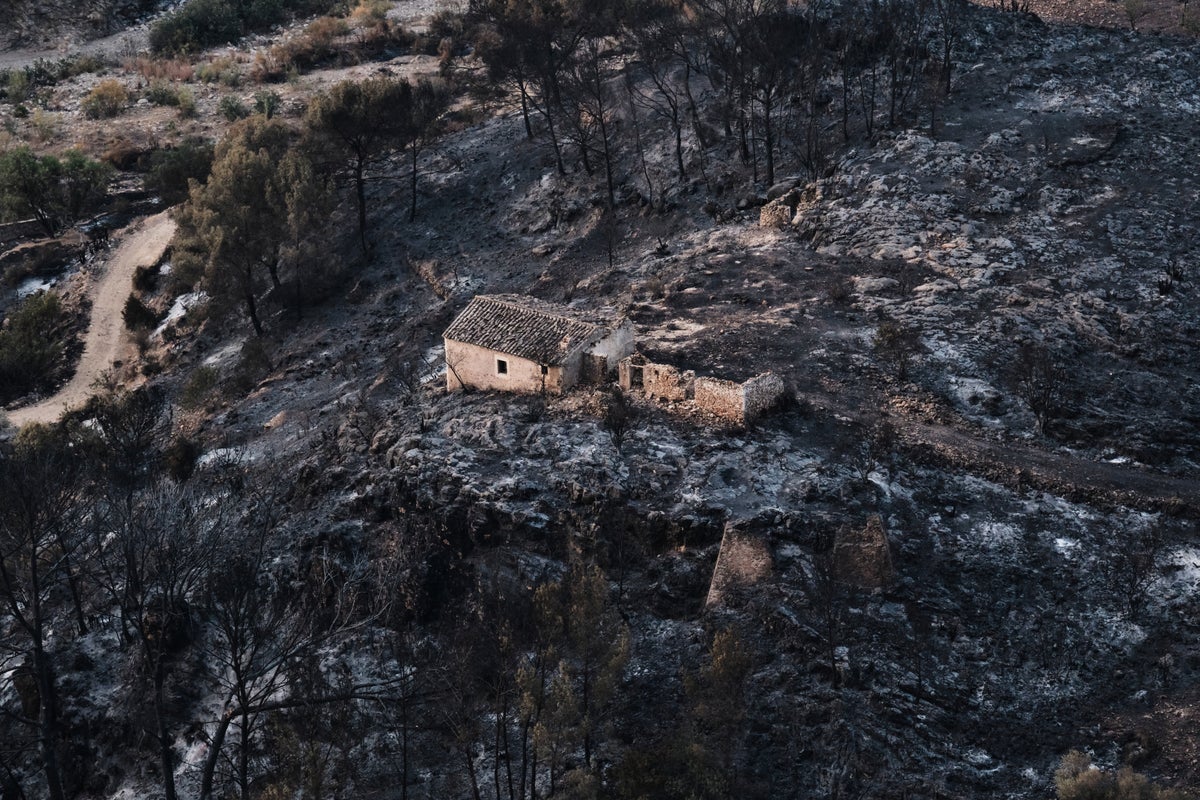 Hundreds of firefighters battle wildfire in southern Spain that killed at least 12 – UK Times Hundreds of firefighters battle wildfire in southern Spain that killed at least 12 – UK Times