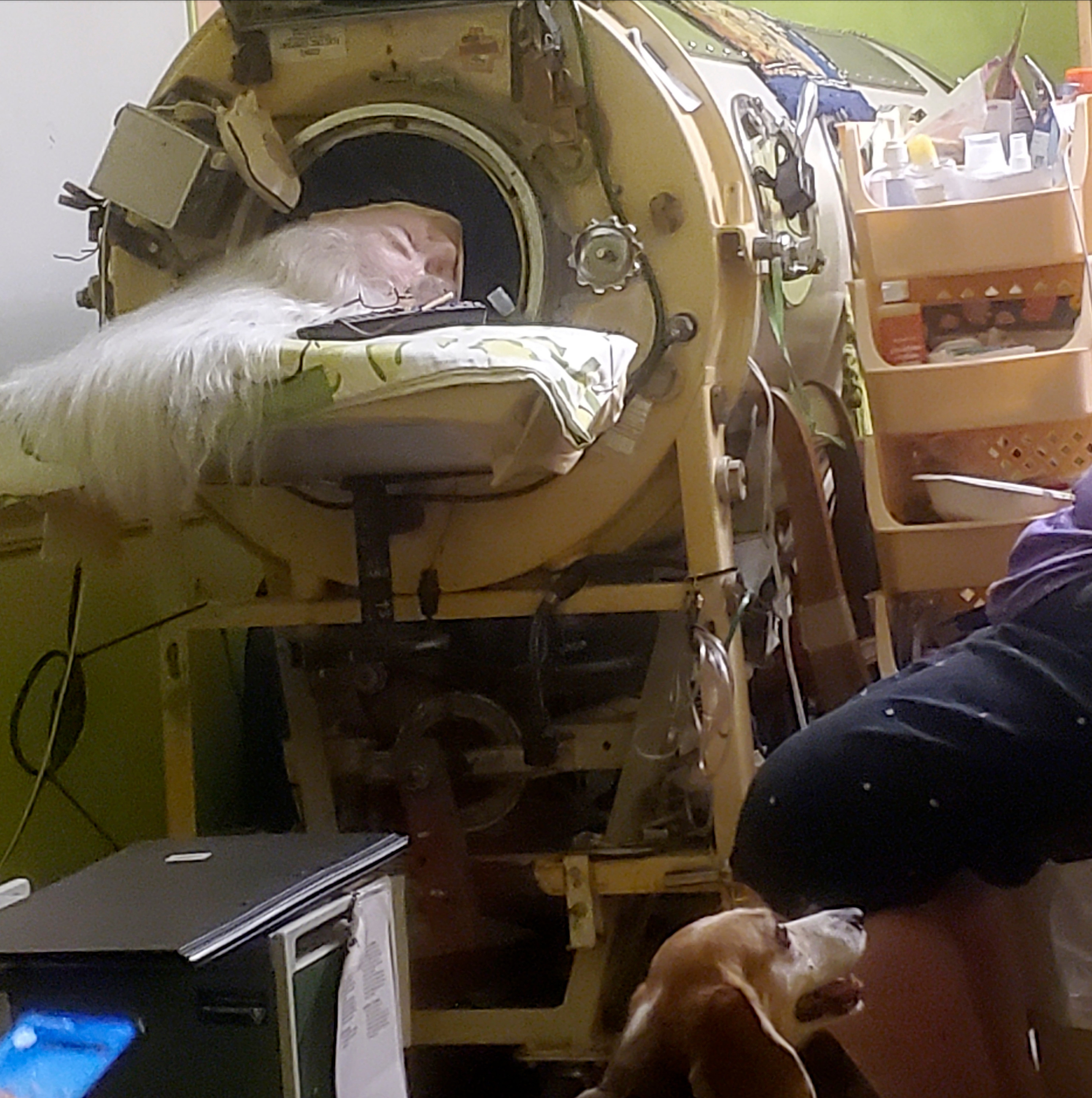 Martha Lillard in her iron lung
