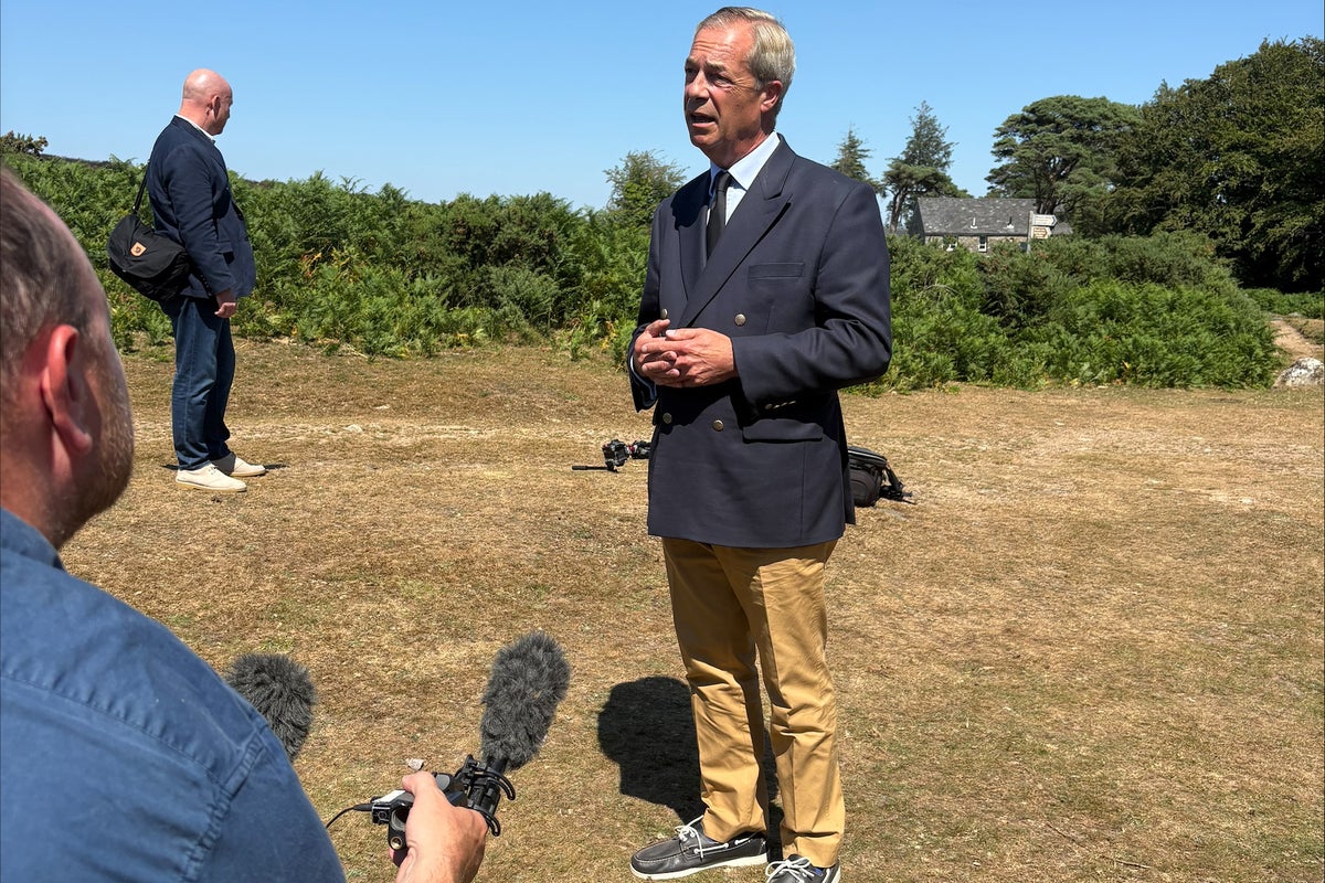Nigel Farage told not to speculate on Ann Widdecombe murder case