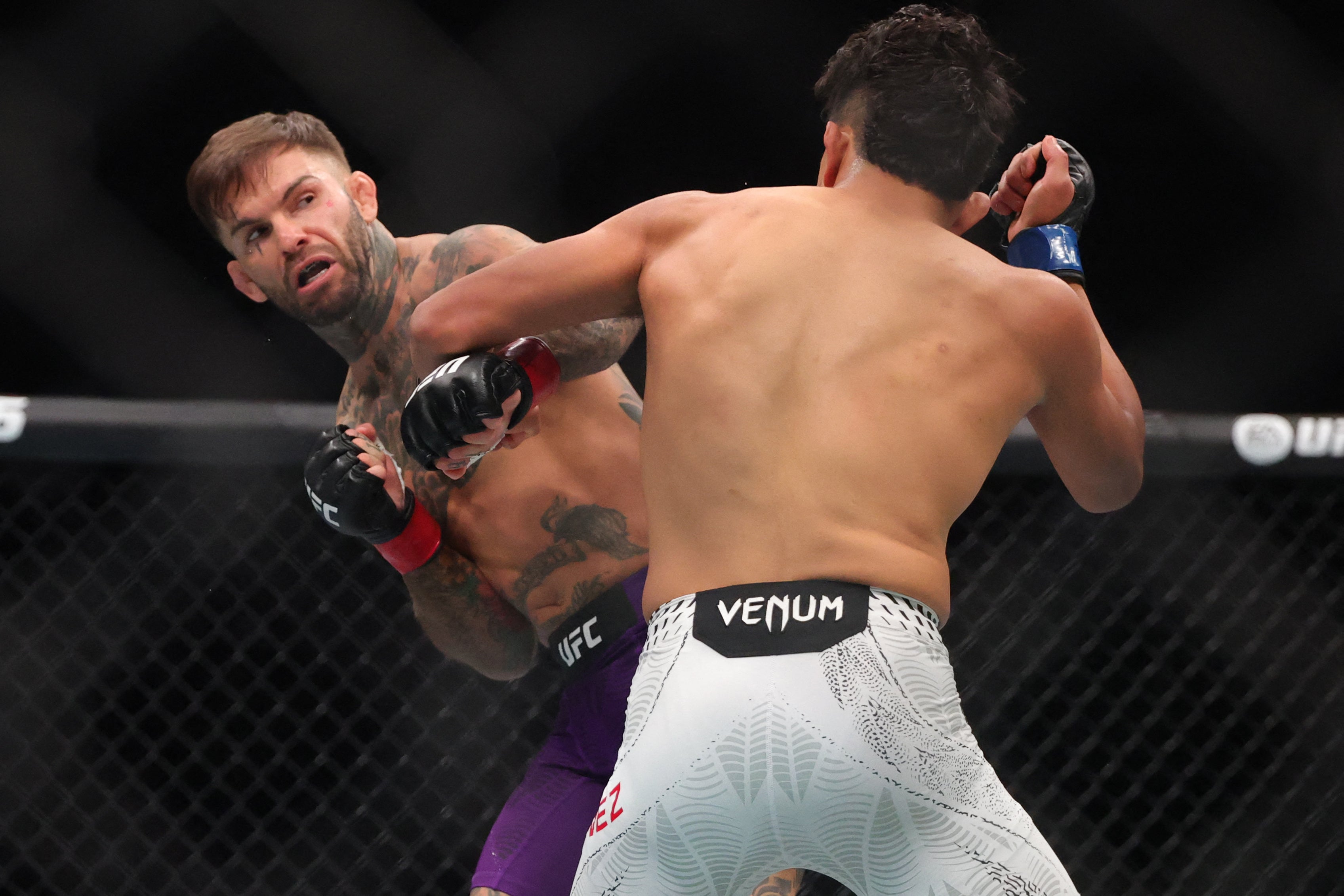 Cody Garbrandt (left) was knocked out by Adrian Yanez in the opening frame (Reuters)