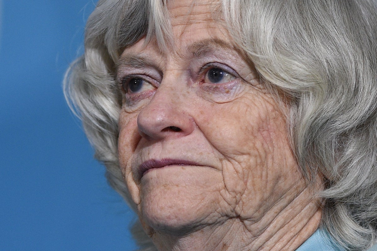 Police ‘open minded’ about motive for Ann Widdecombe murder after suspect, 28, arrested