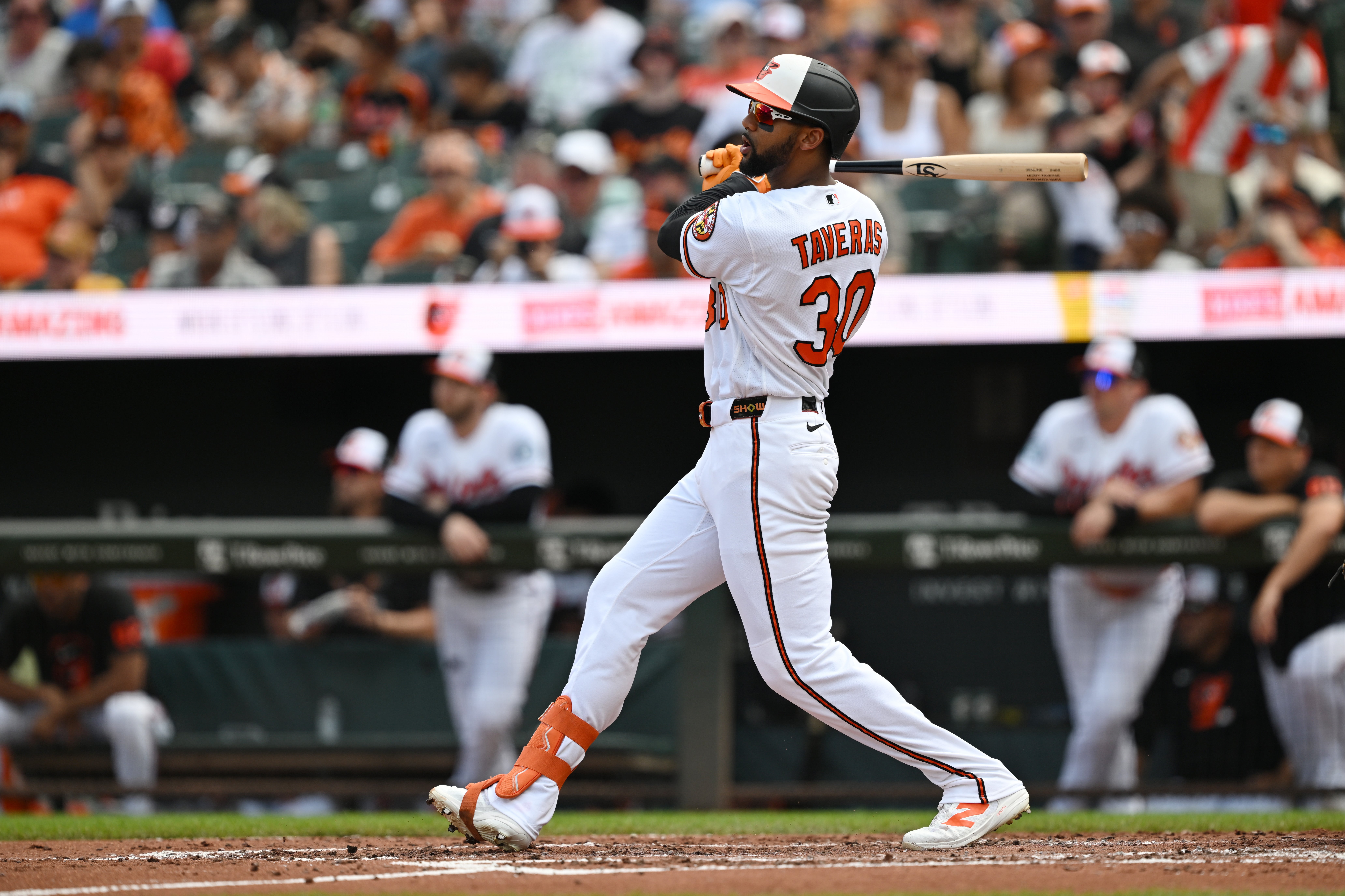 REALES ORIOLES
